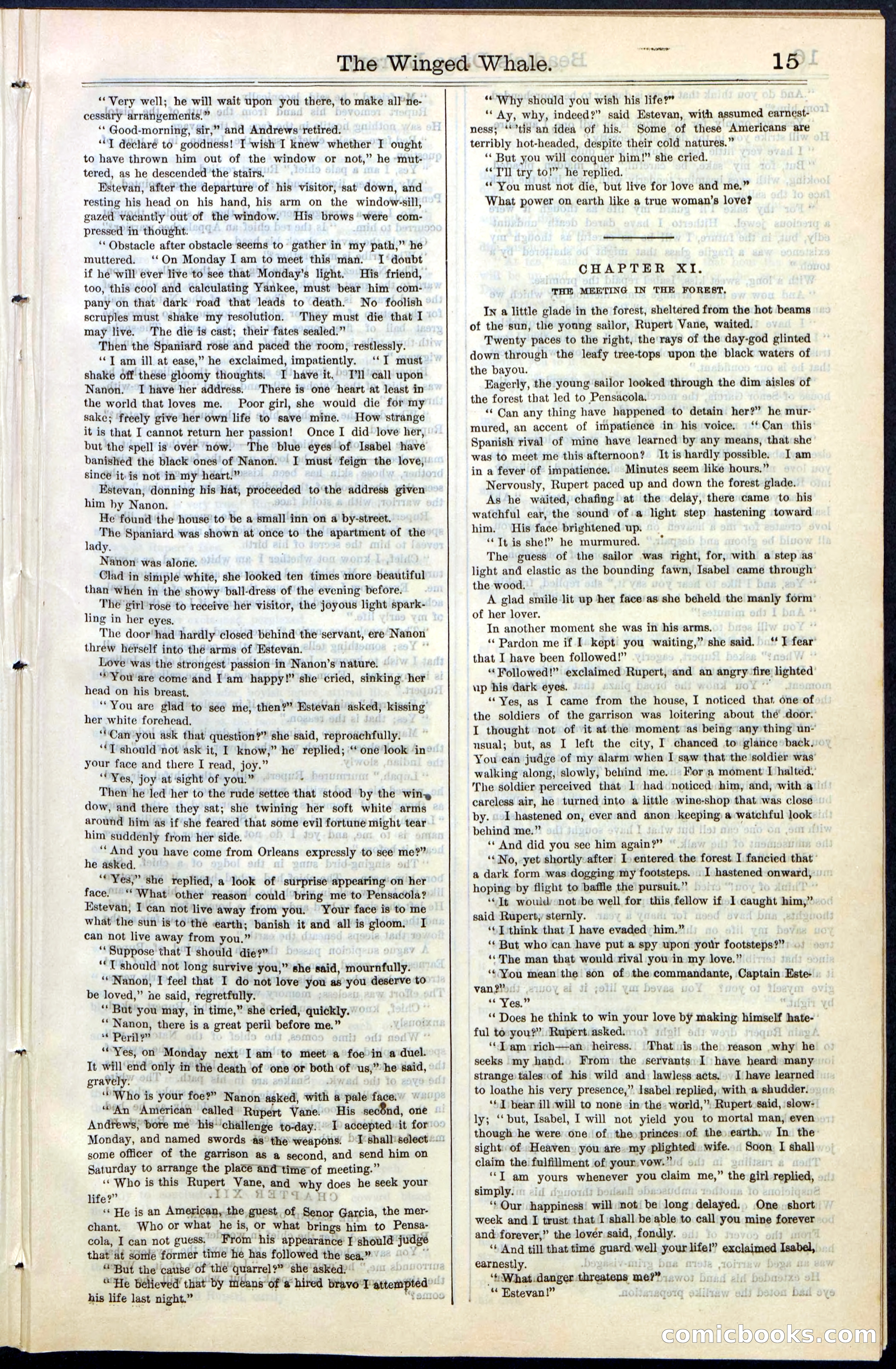 Beadle's New York Dime Library, No. 63 — page 15 of 48