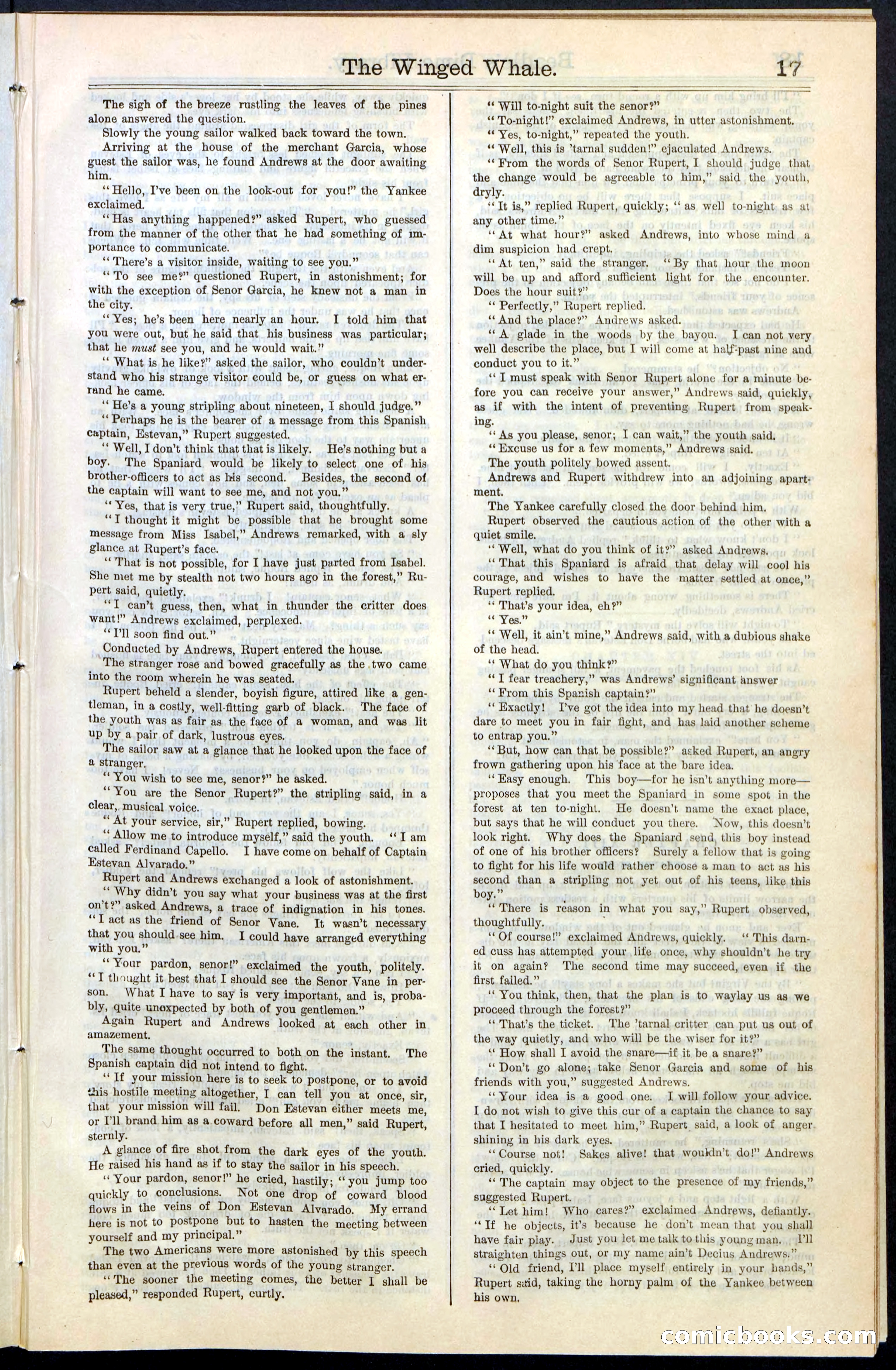Beadle's New York Dime Library, No. 63 — page 17 of 48
