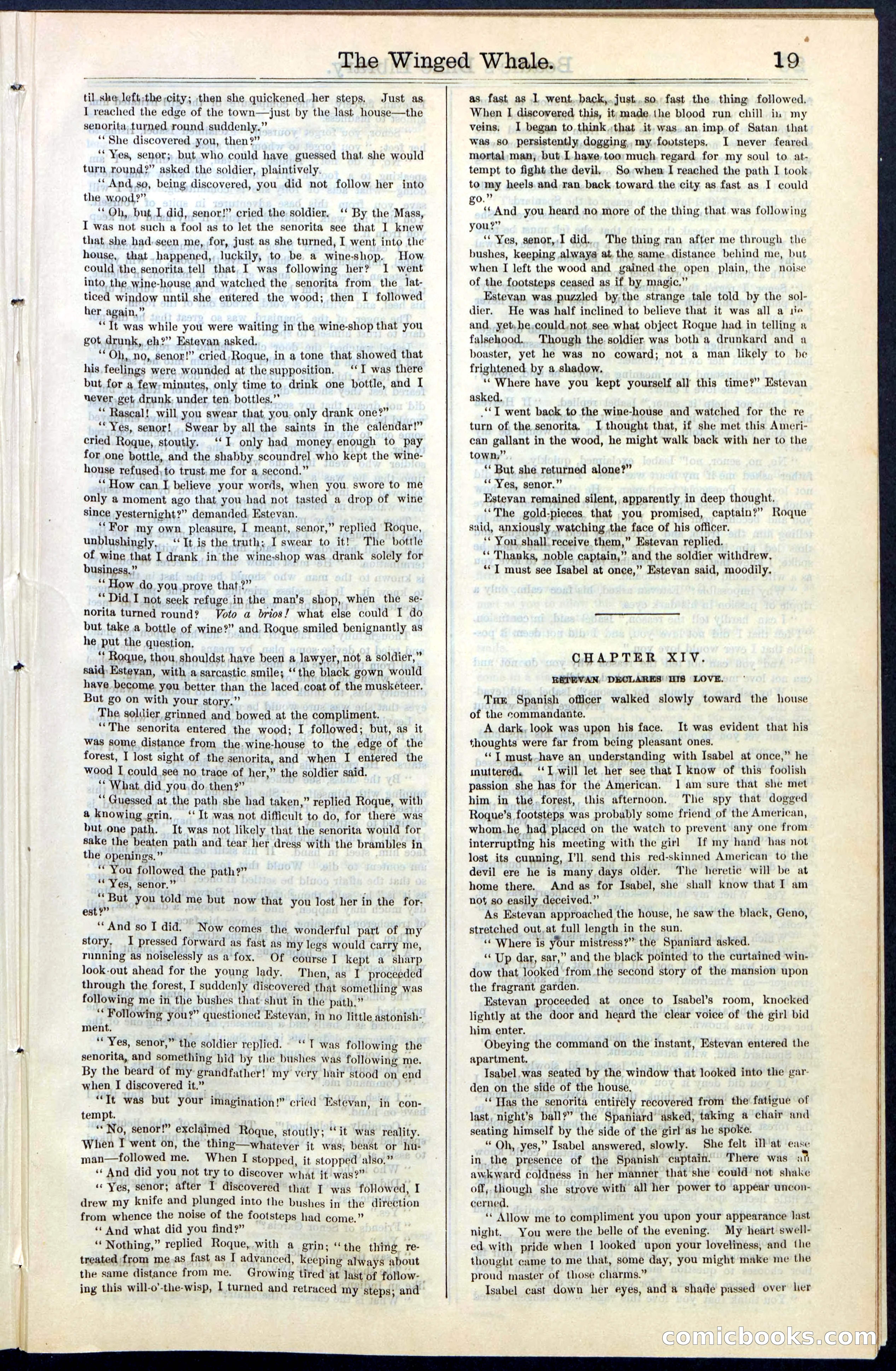 Beadle's New York Dime Library, No. 63 — page 19 of 48