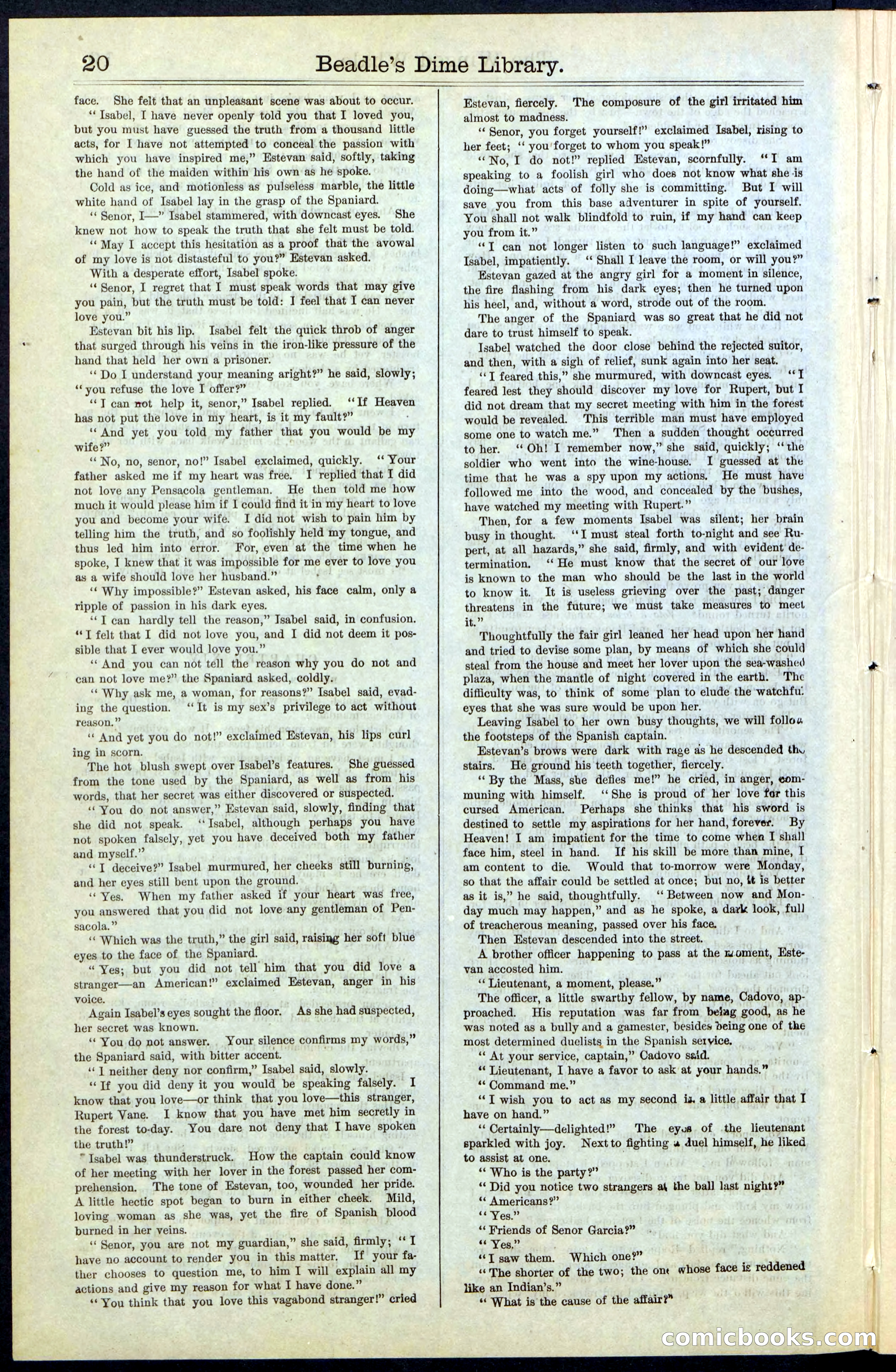 Beadle's New York Dime Library, No. 63 — page 20 of 48