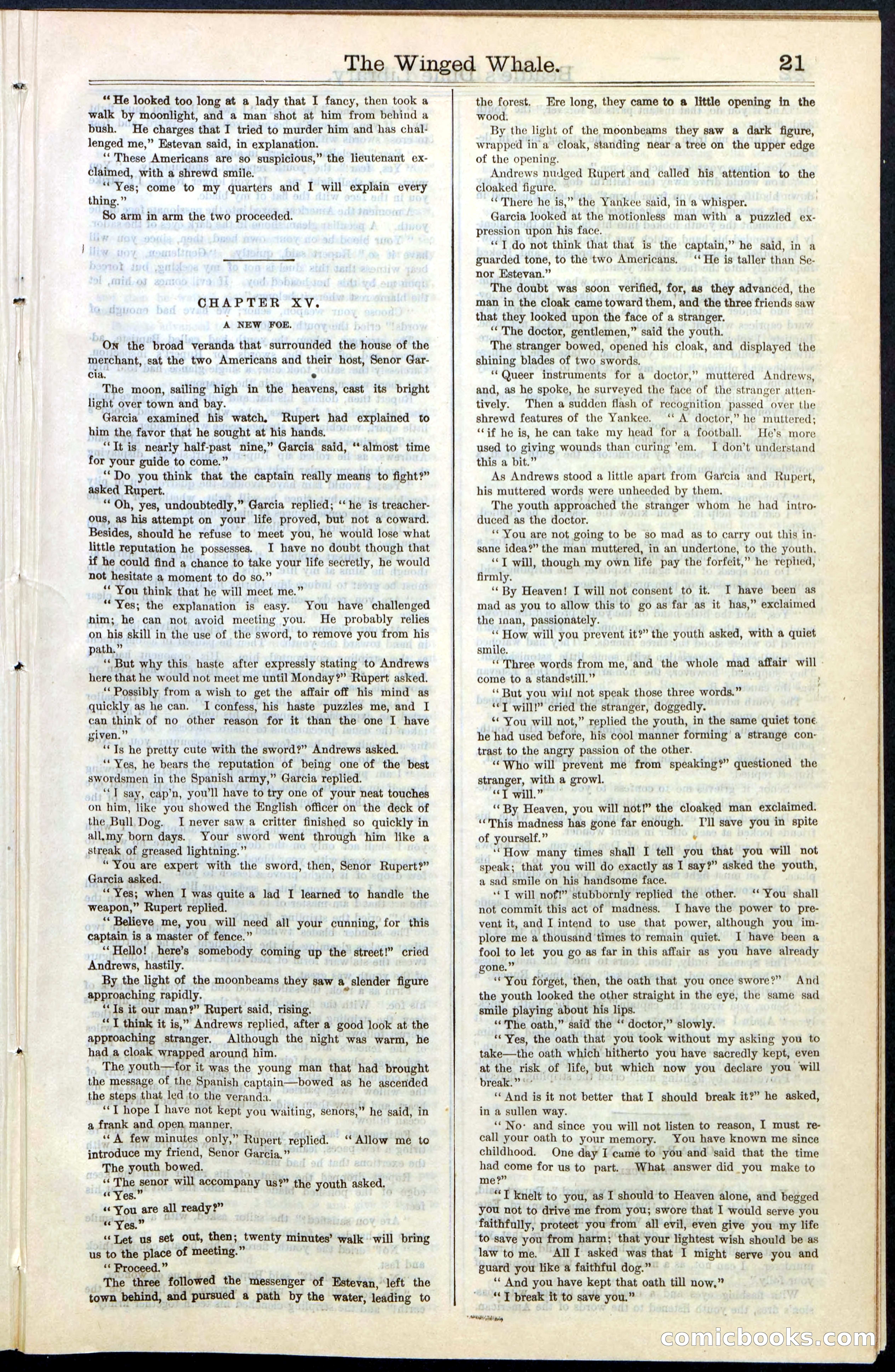 Beadle's New York Dime Library, No. 63 — page 21 of 48