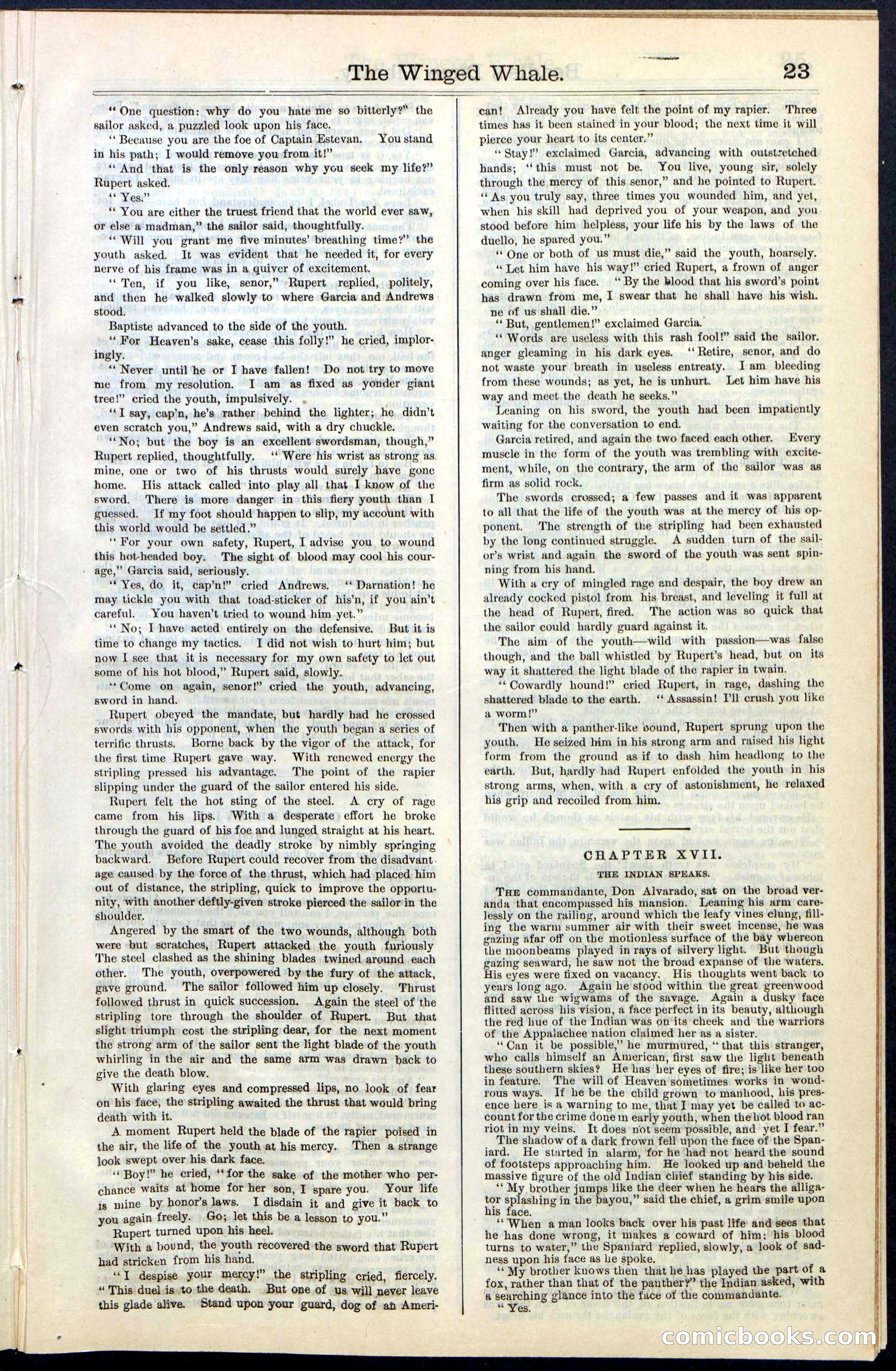 Beadle's New York Dime Library, No. 63 — page 23 of 48