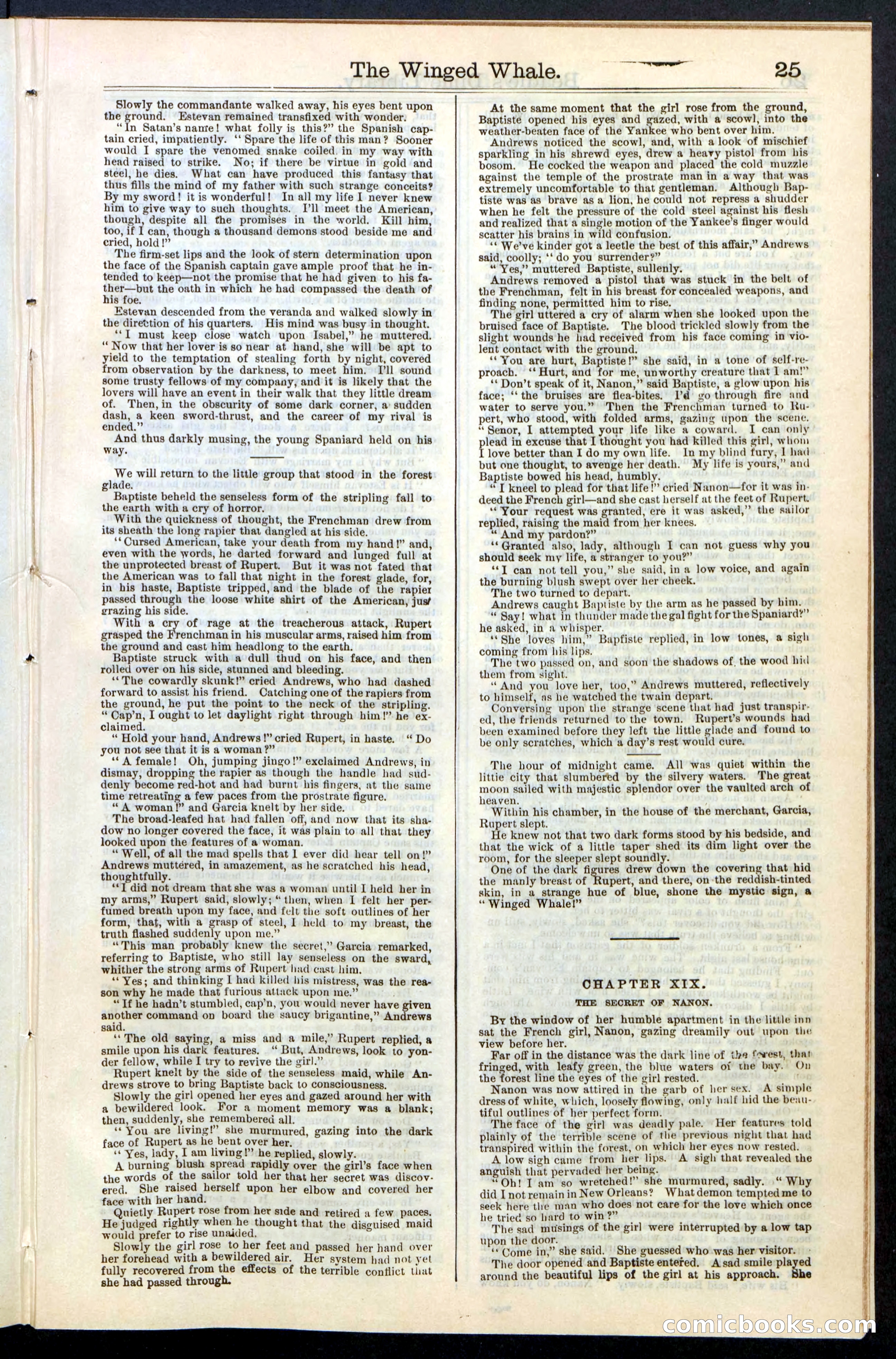 Beadle's New York Dime Library, No. 63 — page 25 of 48