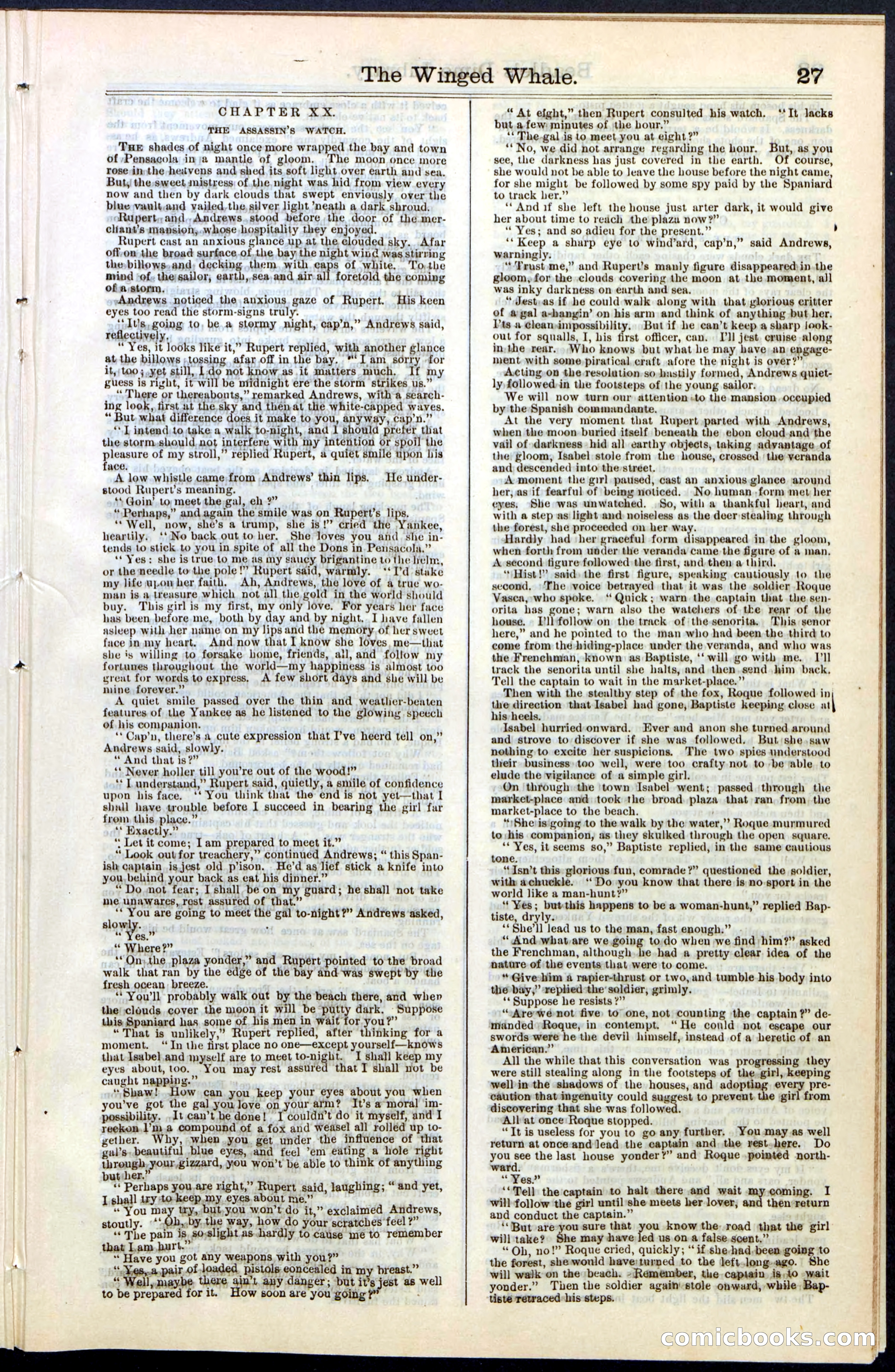 Beadle's New York Dime Library, No. 63 — page 27 of 48