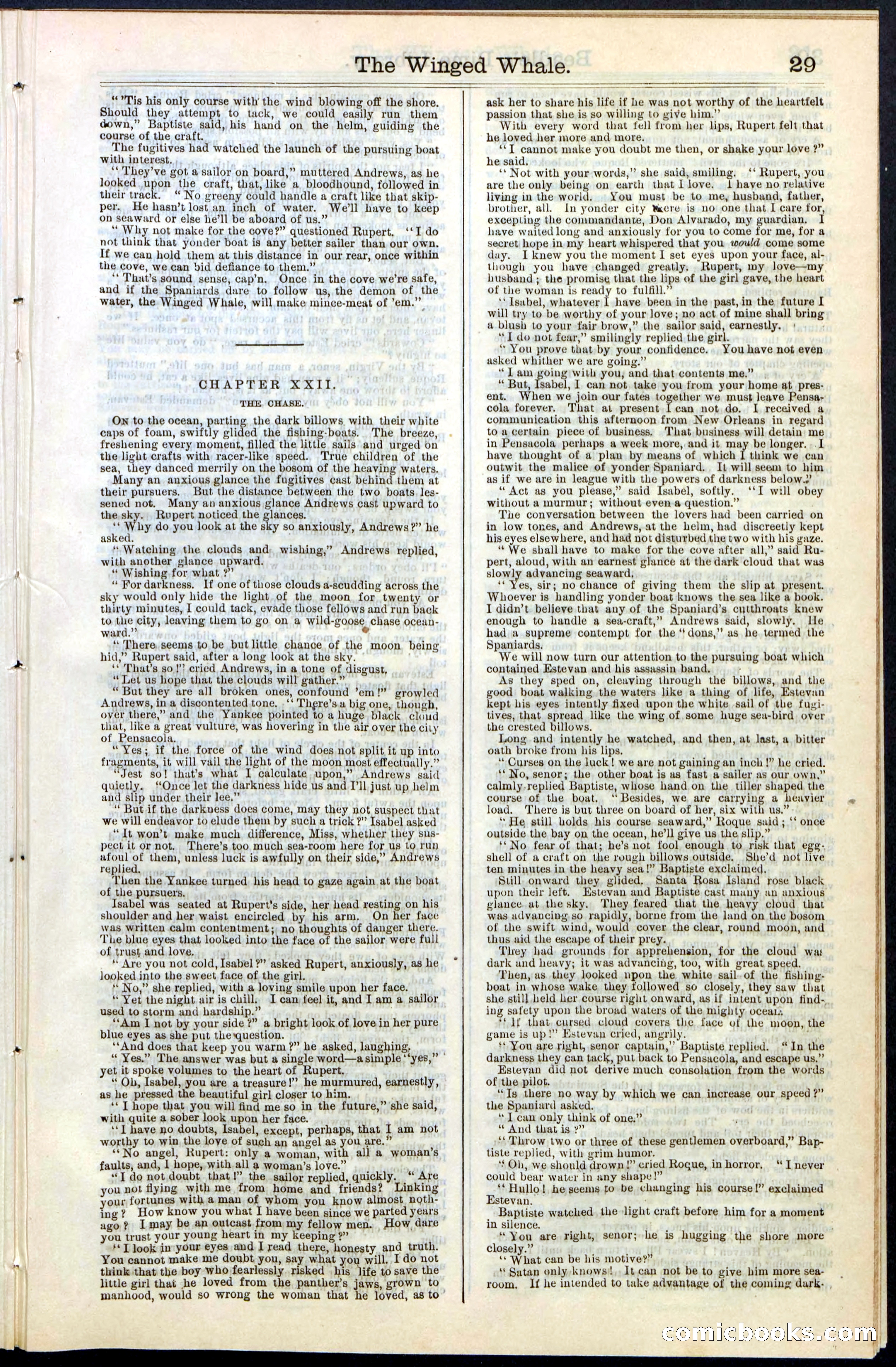 Beadle's New York Dime Library, No. 63 — page 29 of 48