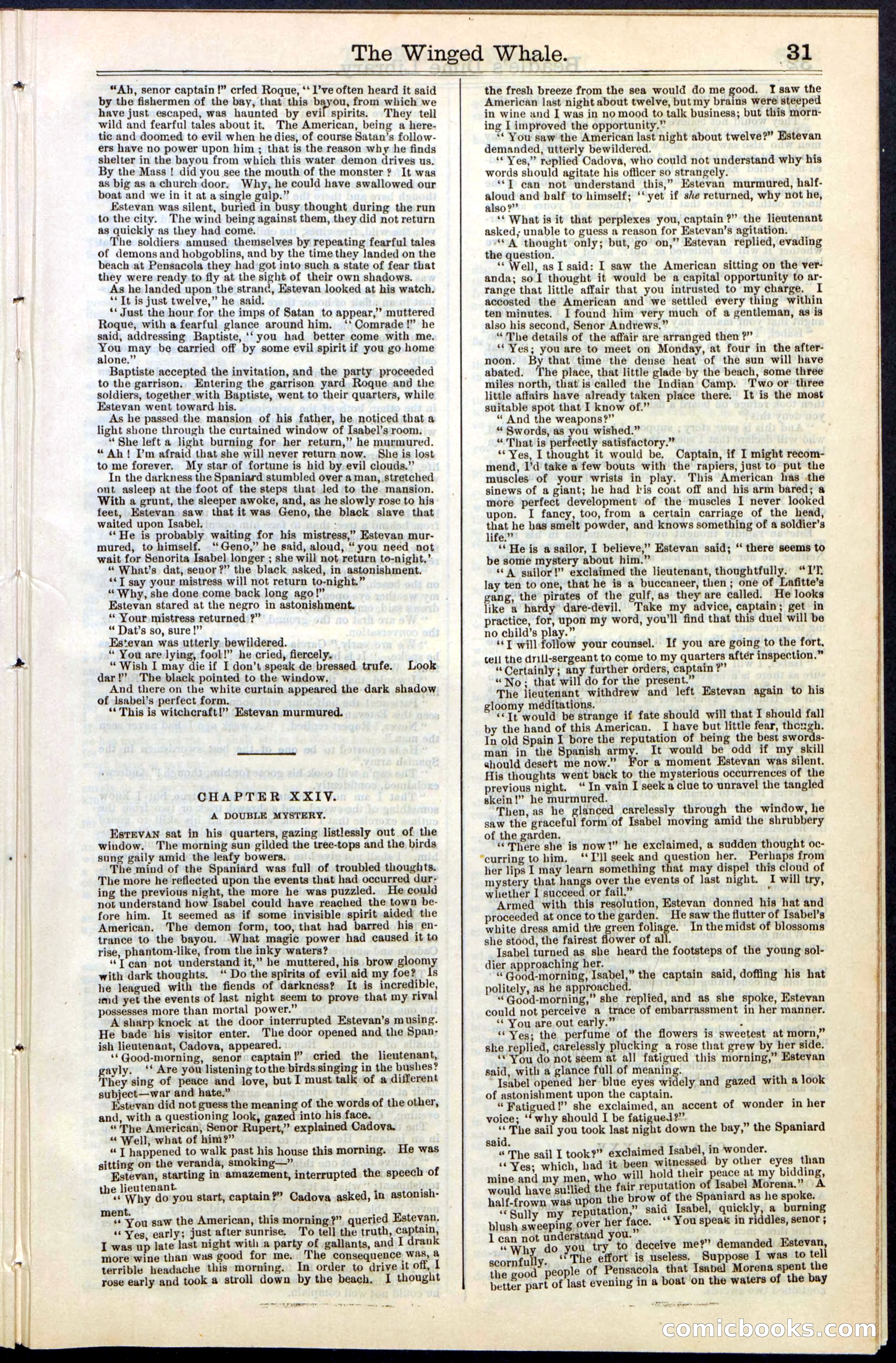 Beadle's New York Dime Library, No. 63 — page 31 of 48