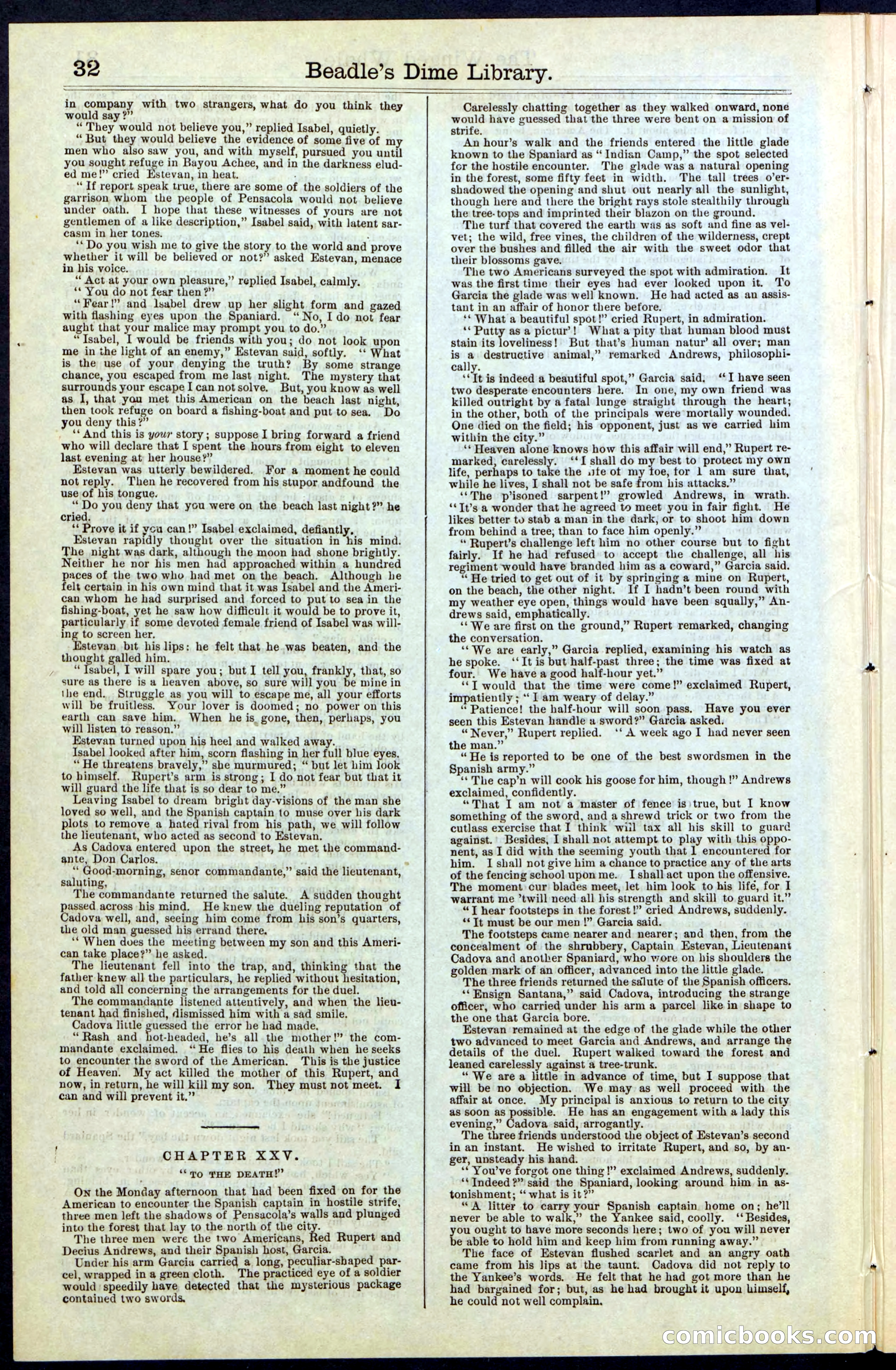 Beadle's New York Dime Library, No. 63 — page 32 of 48