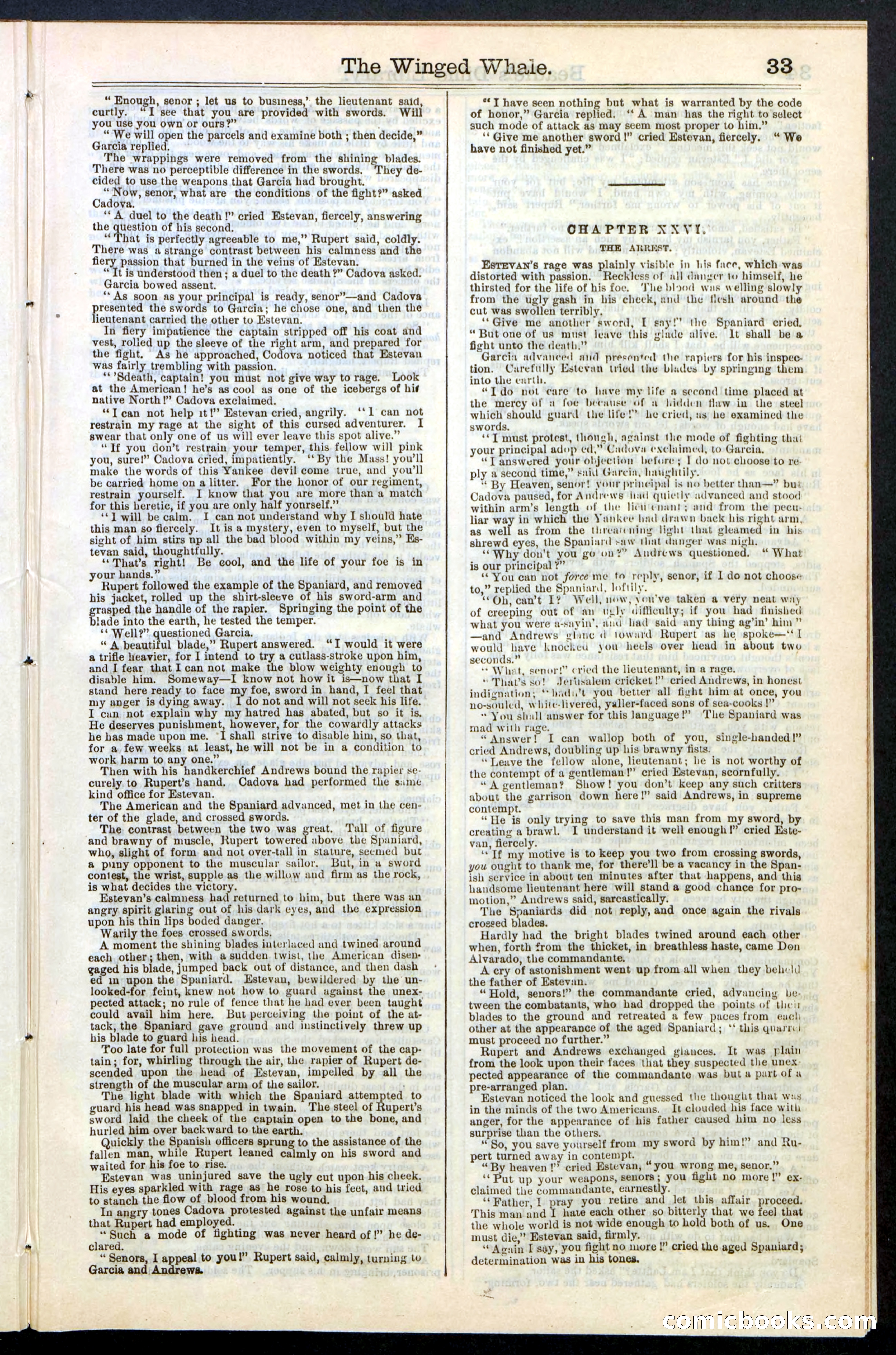 Beadle's New York Dime Library, No. 63 — page 33 of 48