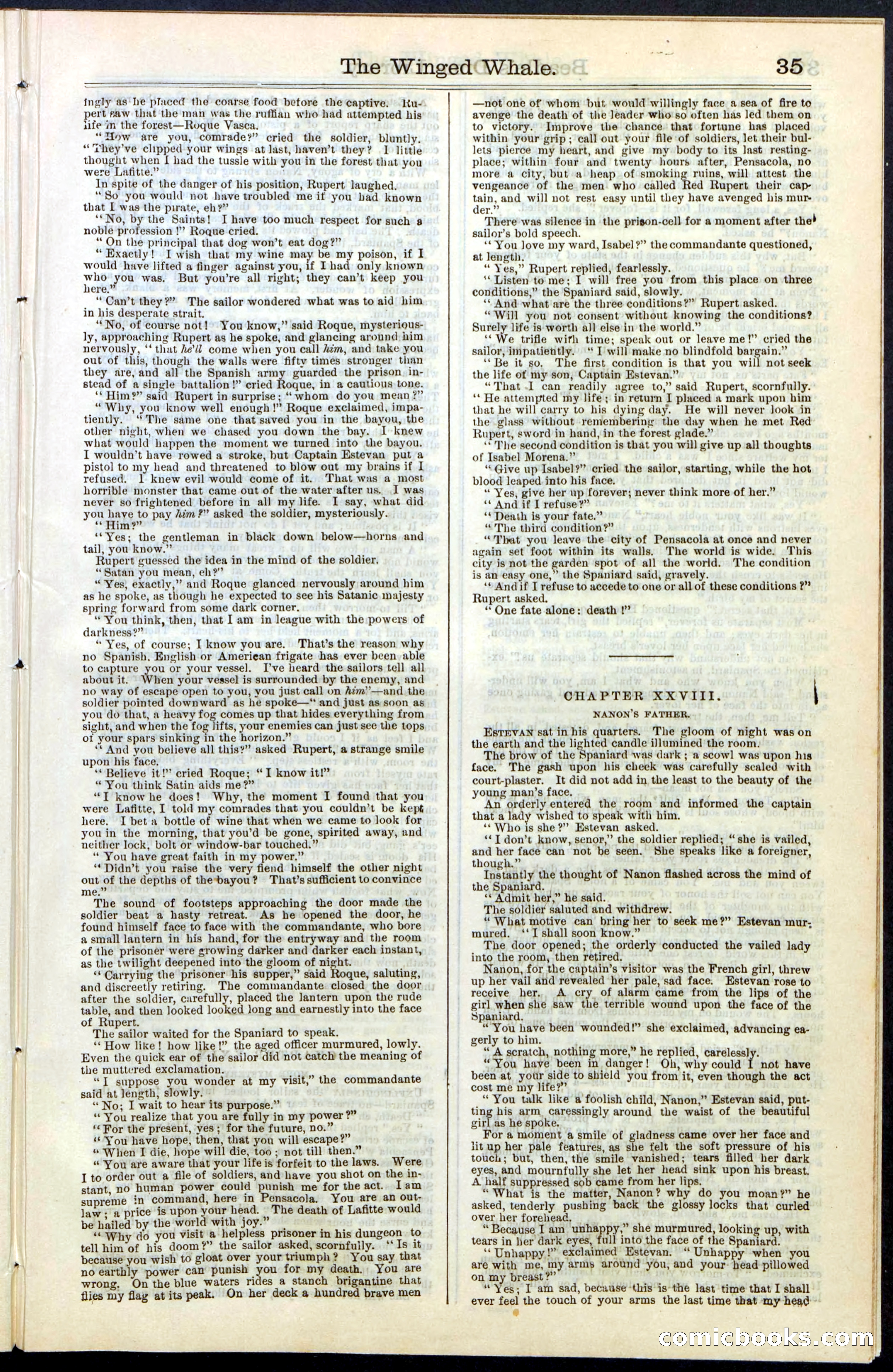 Beadle's New York Dime Library, No. 63 — page 35 of 48