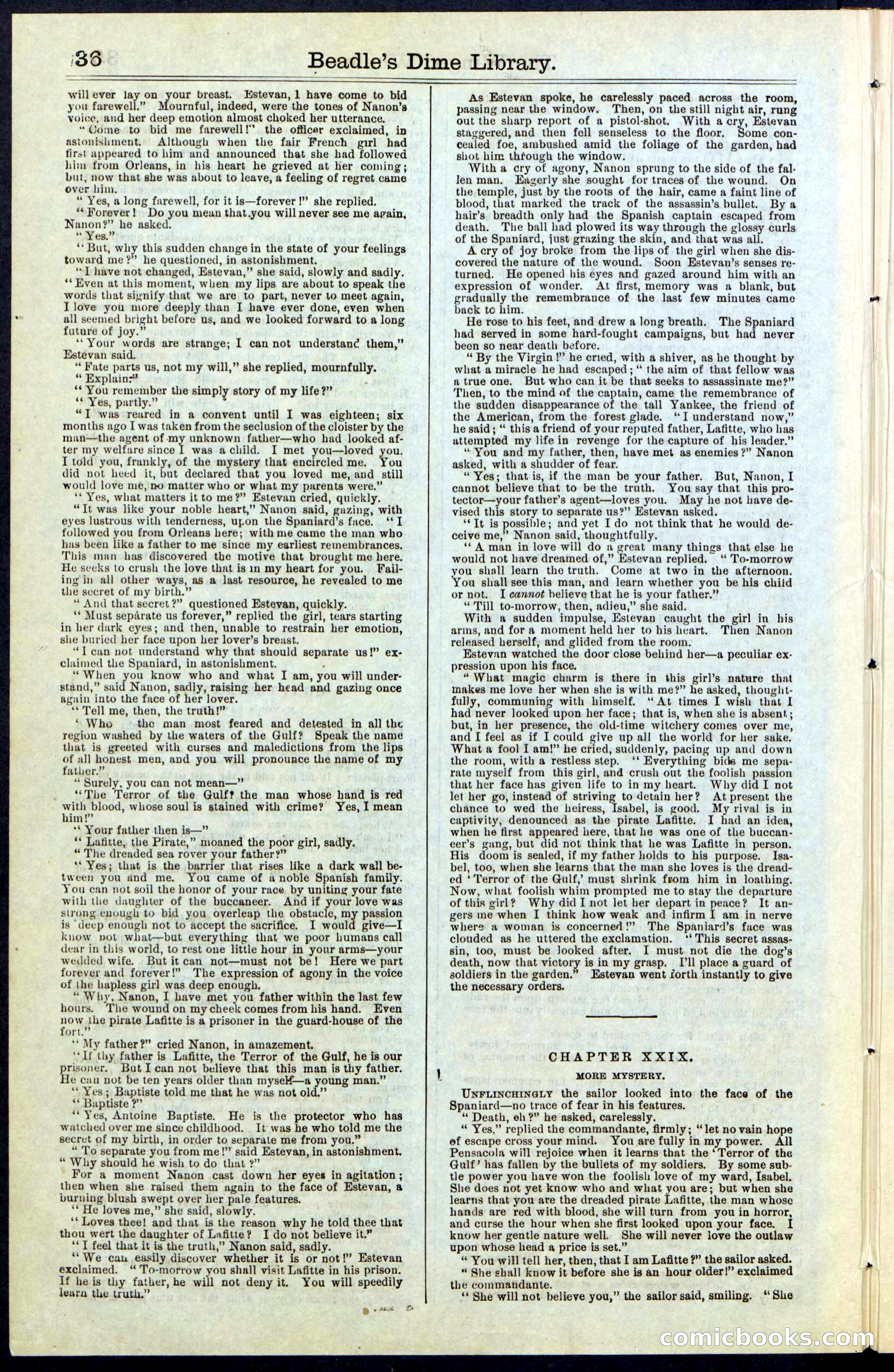 Beadle's New York Dime Library, No. 63 — page 36 of 48