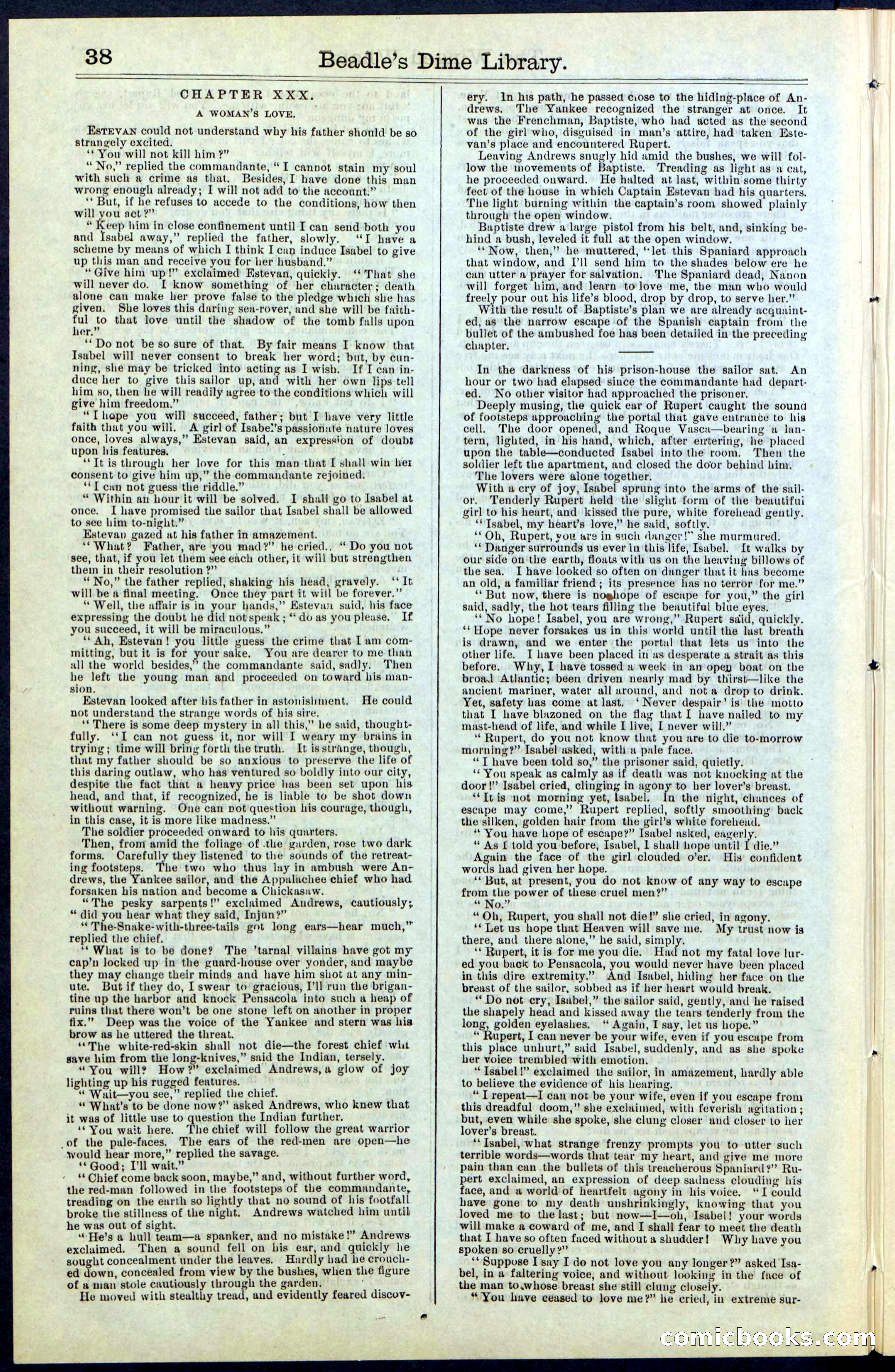Beadle's New York Dime Library, No. 63 — page 38 of 48