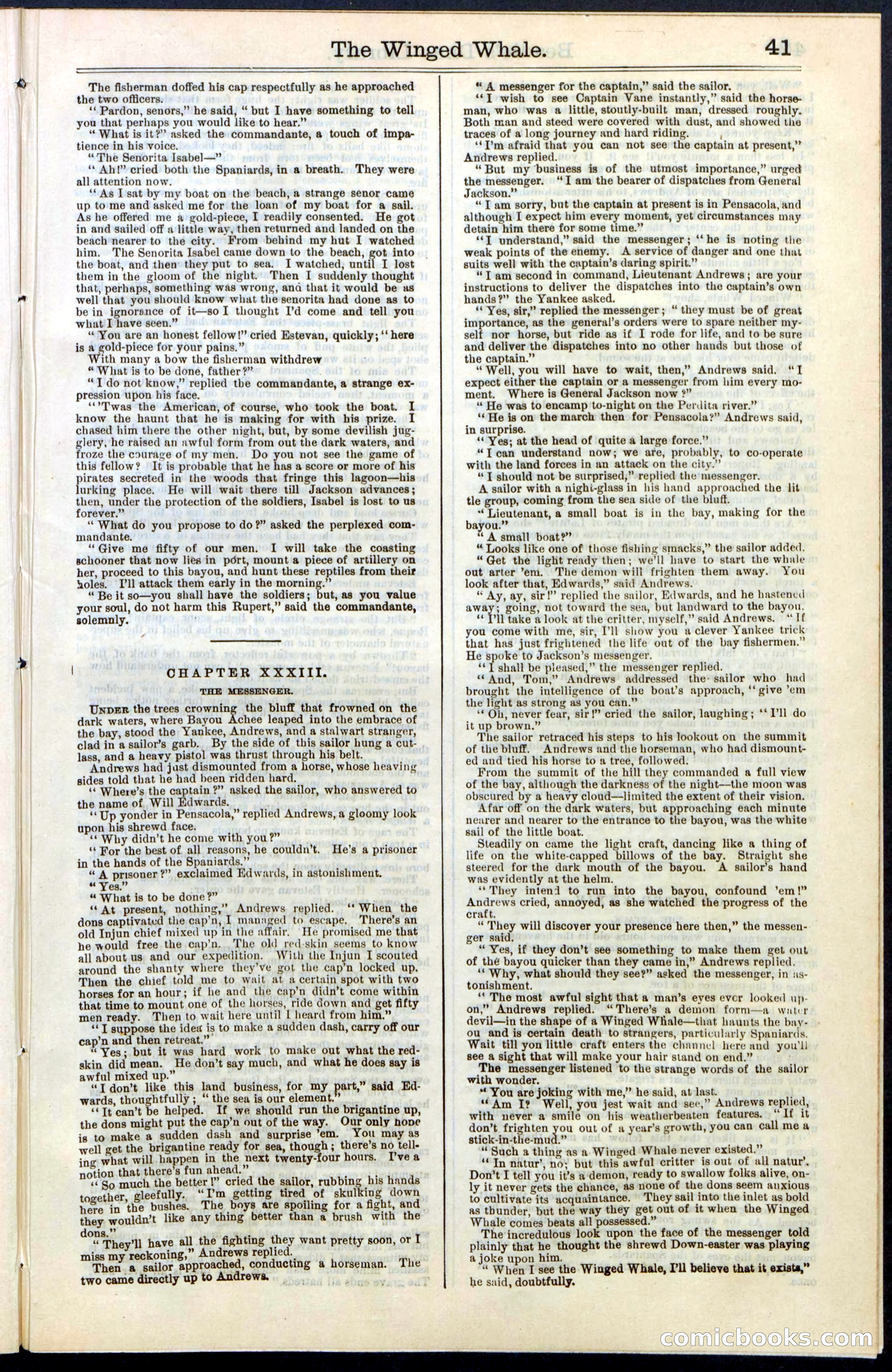 Beadle's New York Dime Library, No. 63 — page 41 of 48