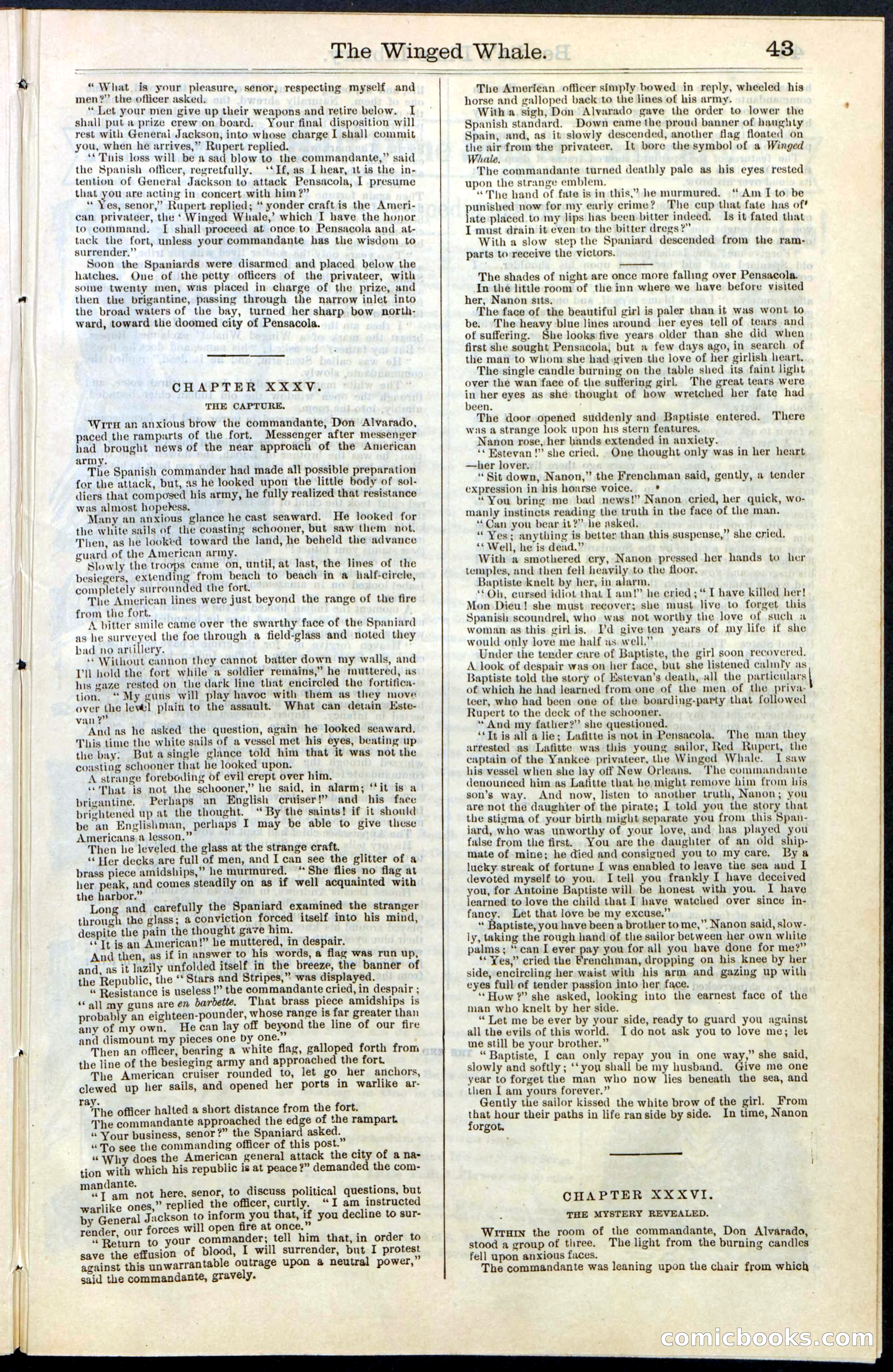 Beadle's New York Dime Library, No. 63 — page 43 of 48