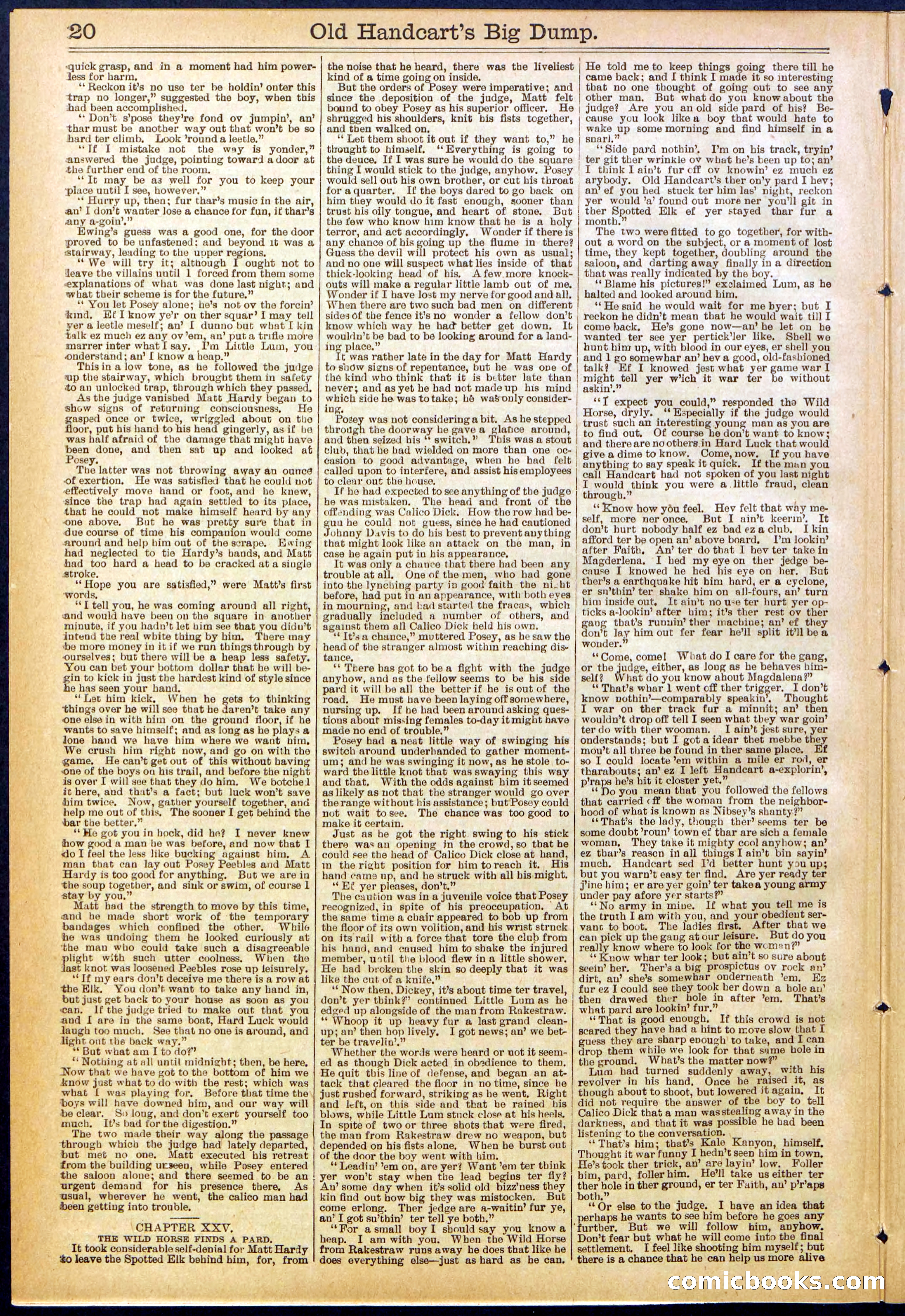 Beadle's New York Dime Library, No. 634 — page 20 of 30