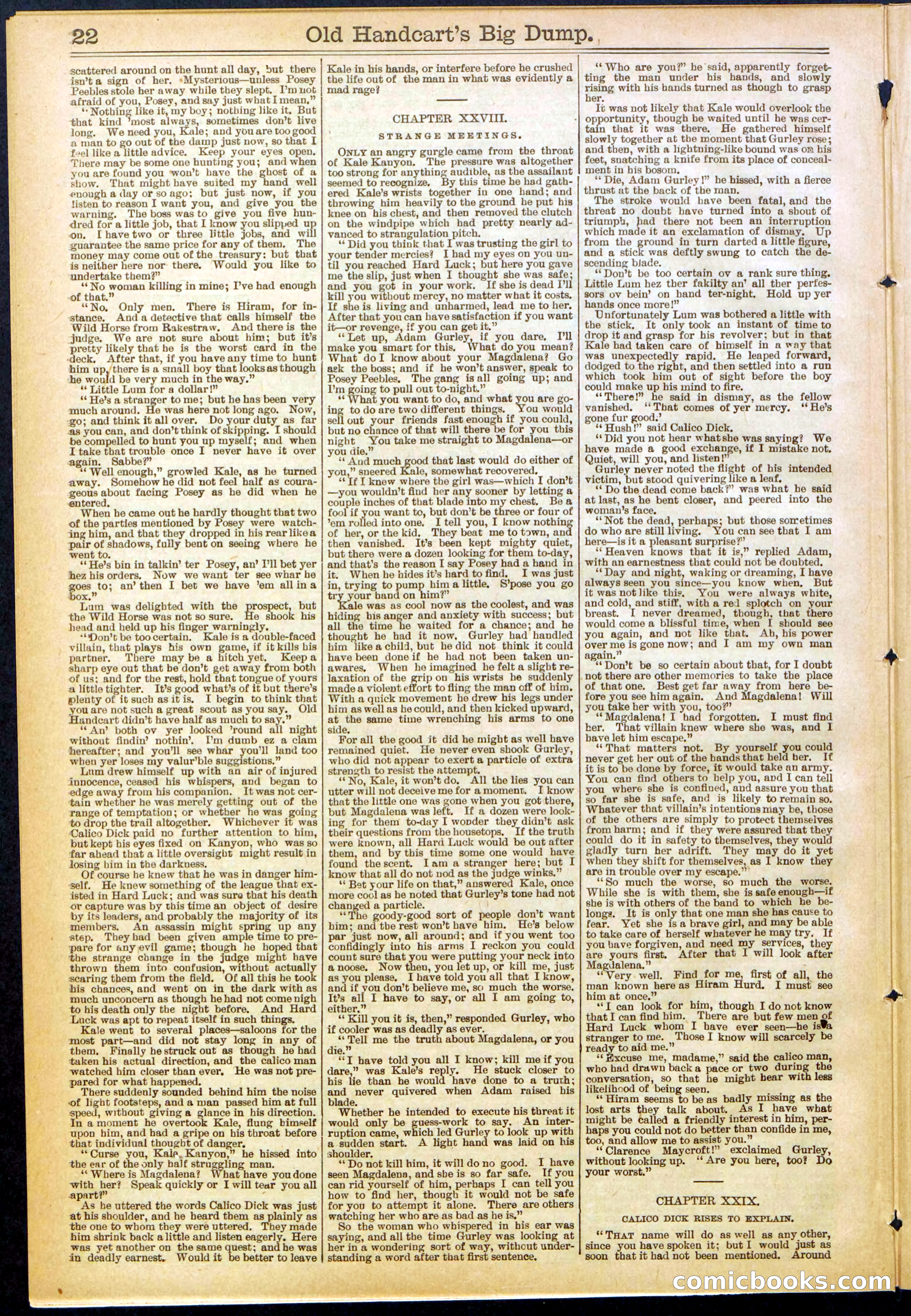 Beadle's New York Dime Library, No. 634 — page 22 of 30