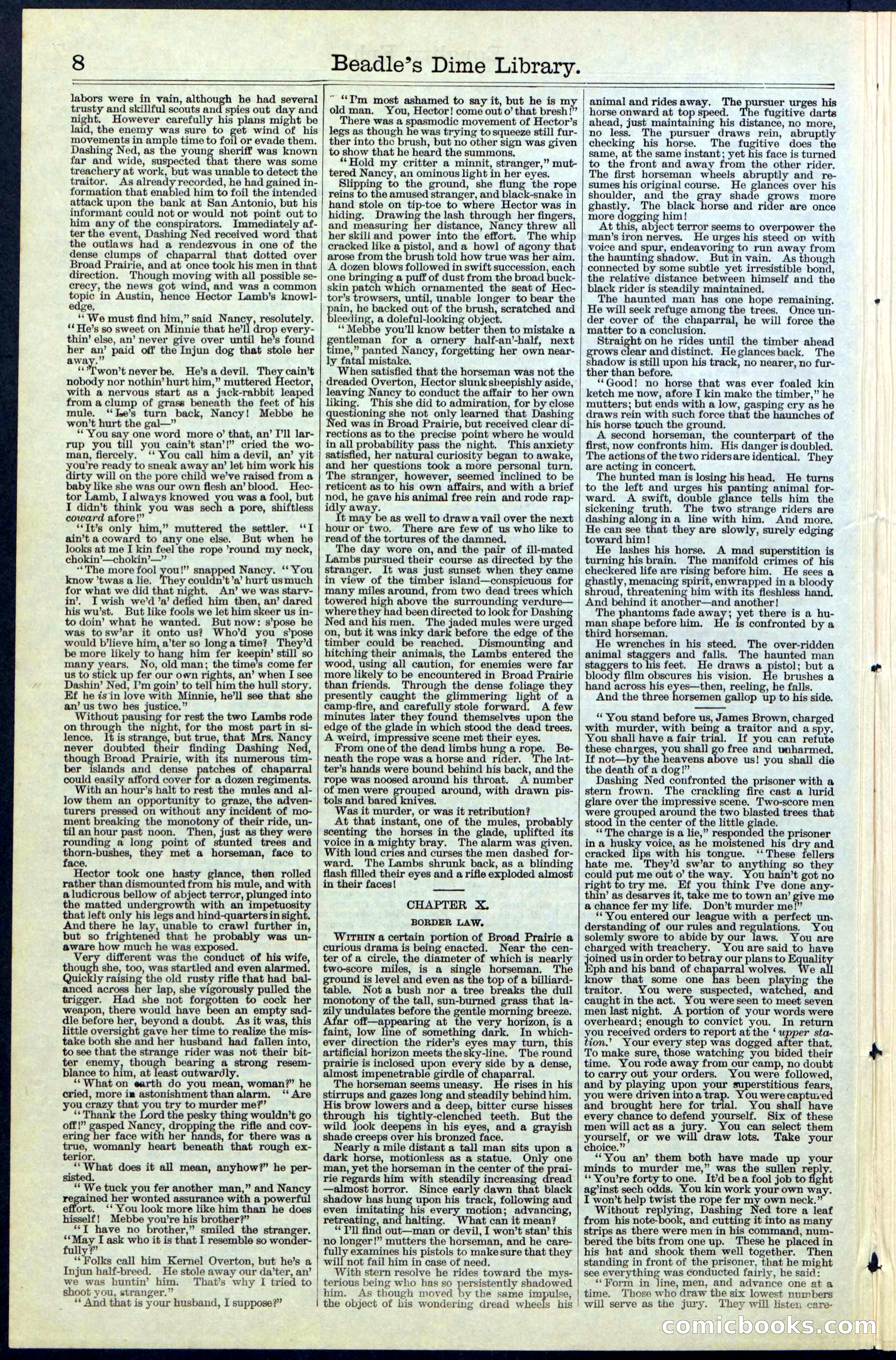 Beadle's New York Dime Library, No. 64 — page 8 of 24