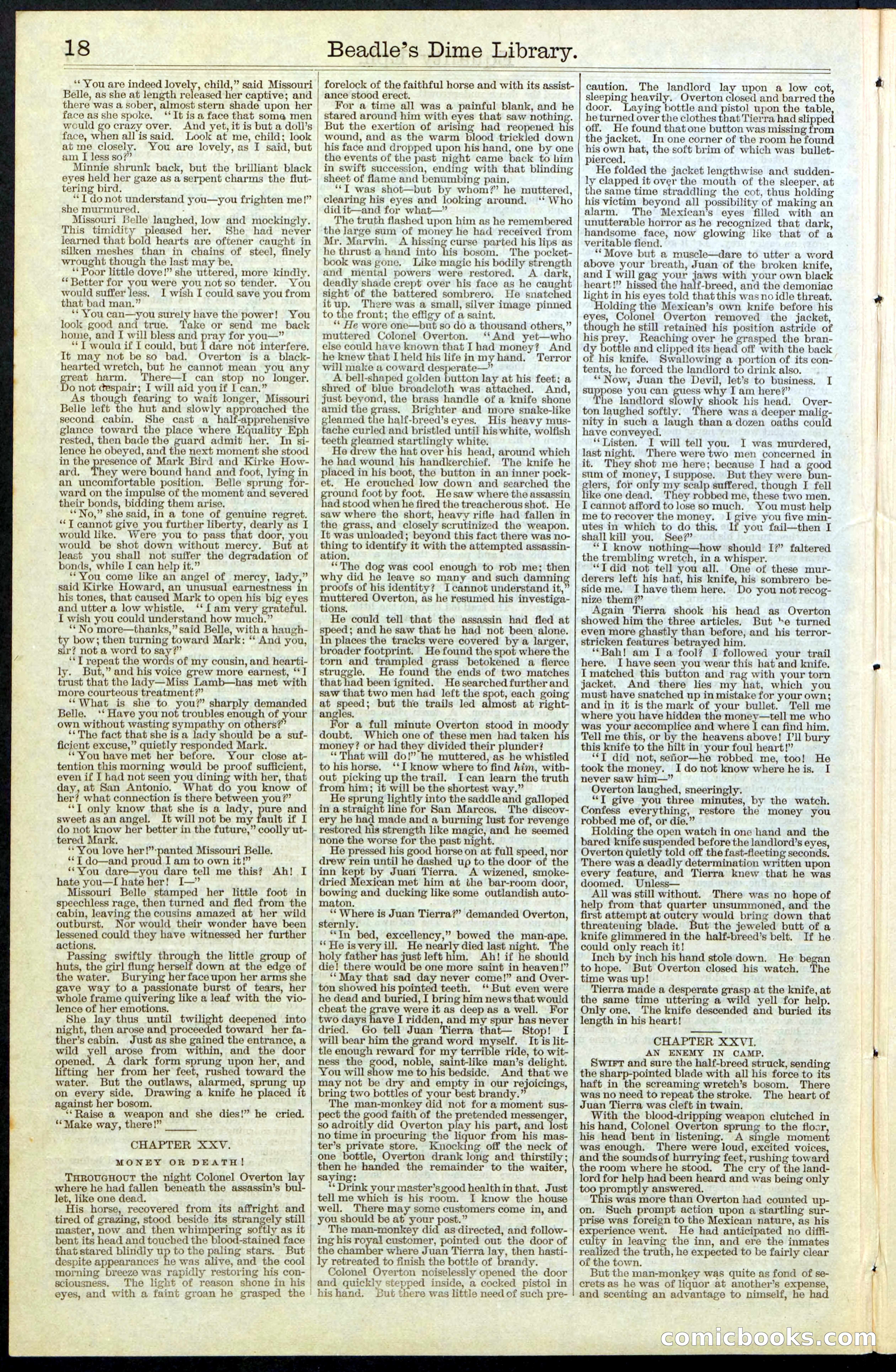 Beadle's New York Dime Library, No. 64 — page 18 of 24