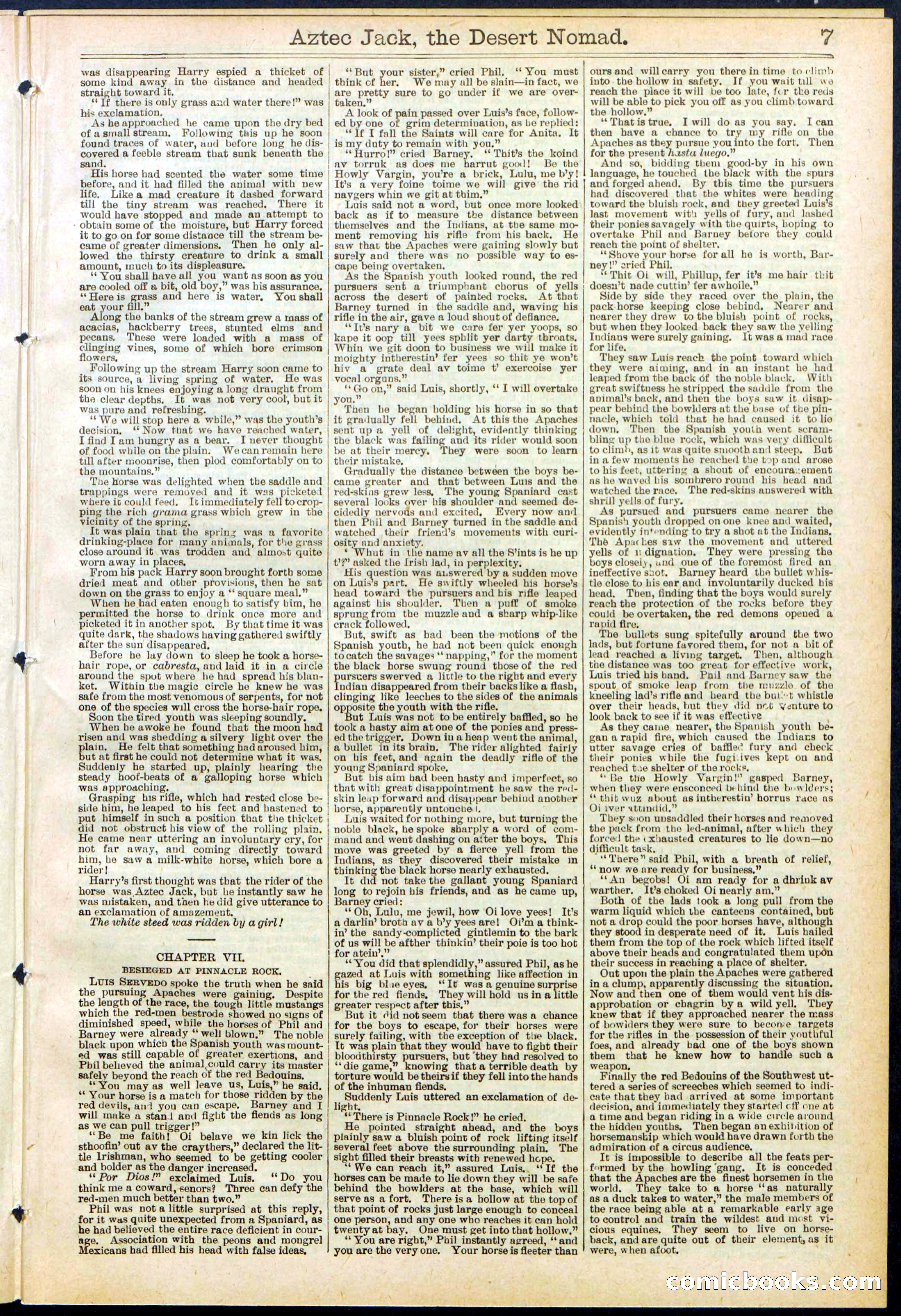 Beadle's Dime Library No. 641 — page 7 of 32