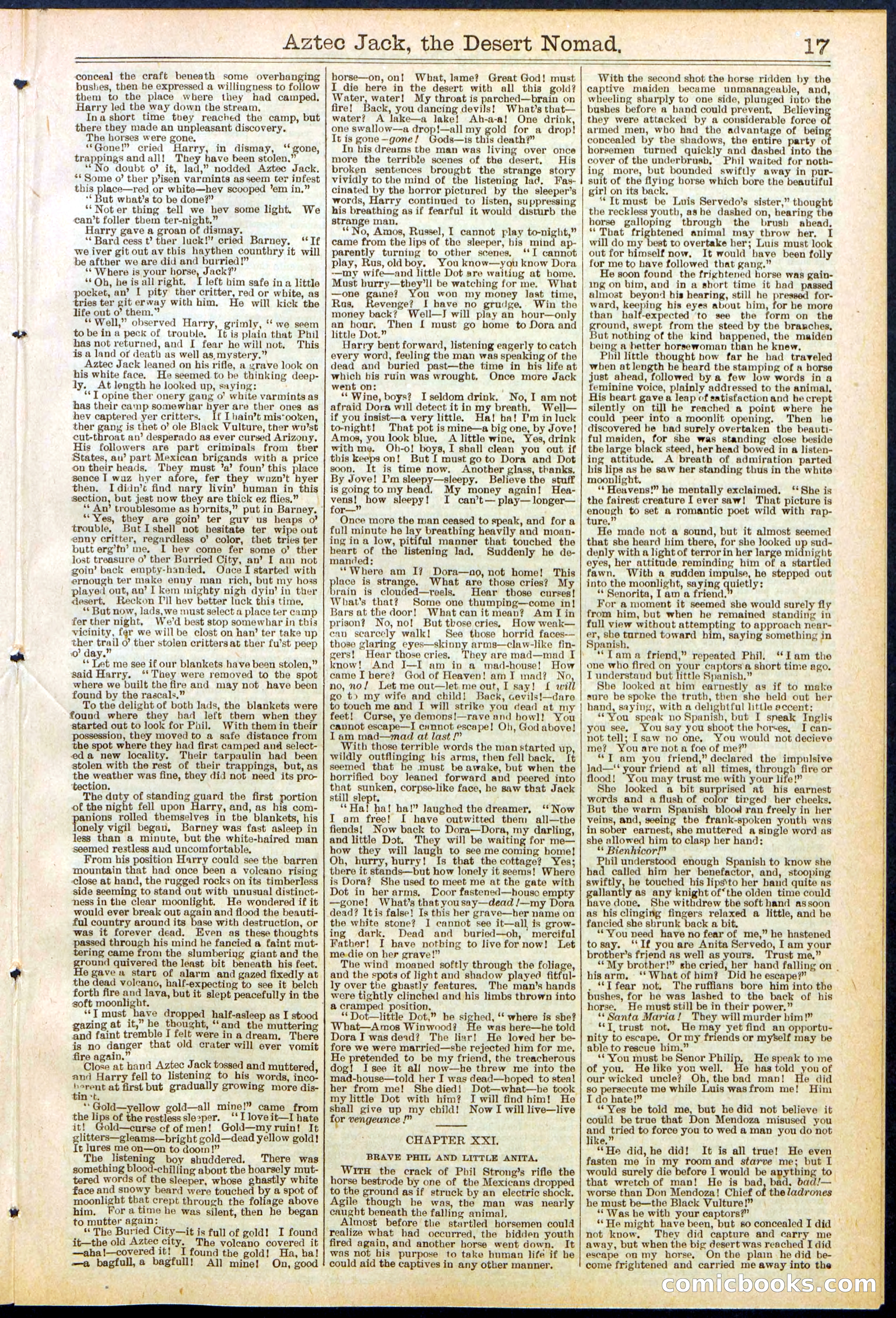 Beadle's Dime Library No. 641 — page 17 of 32