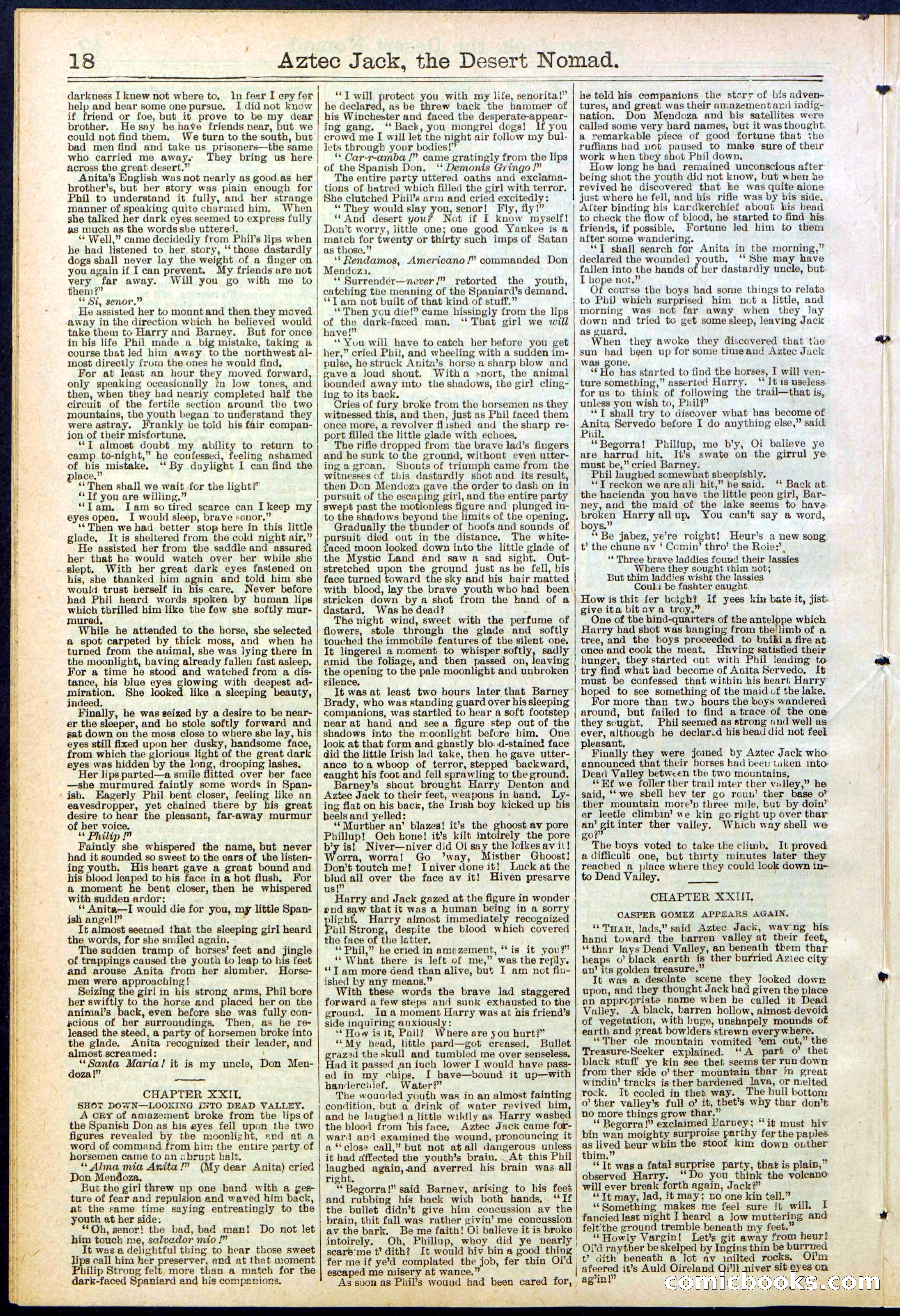 Beadle's Dime Library No. 641 — page 18 of 32