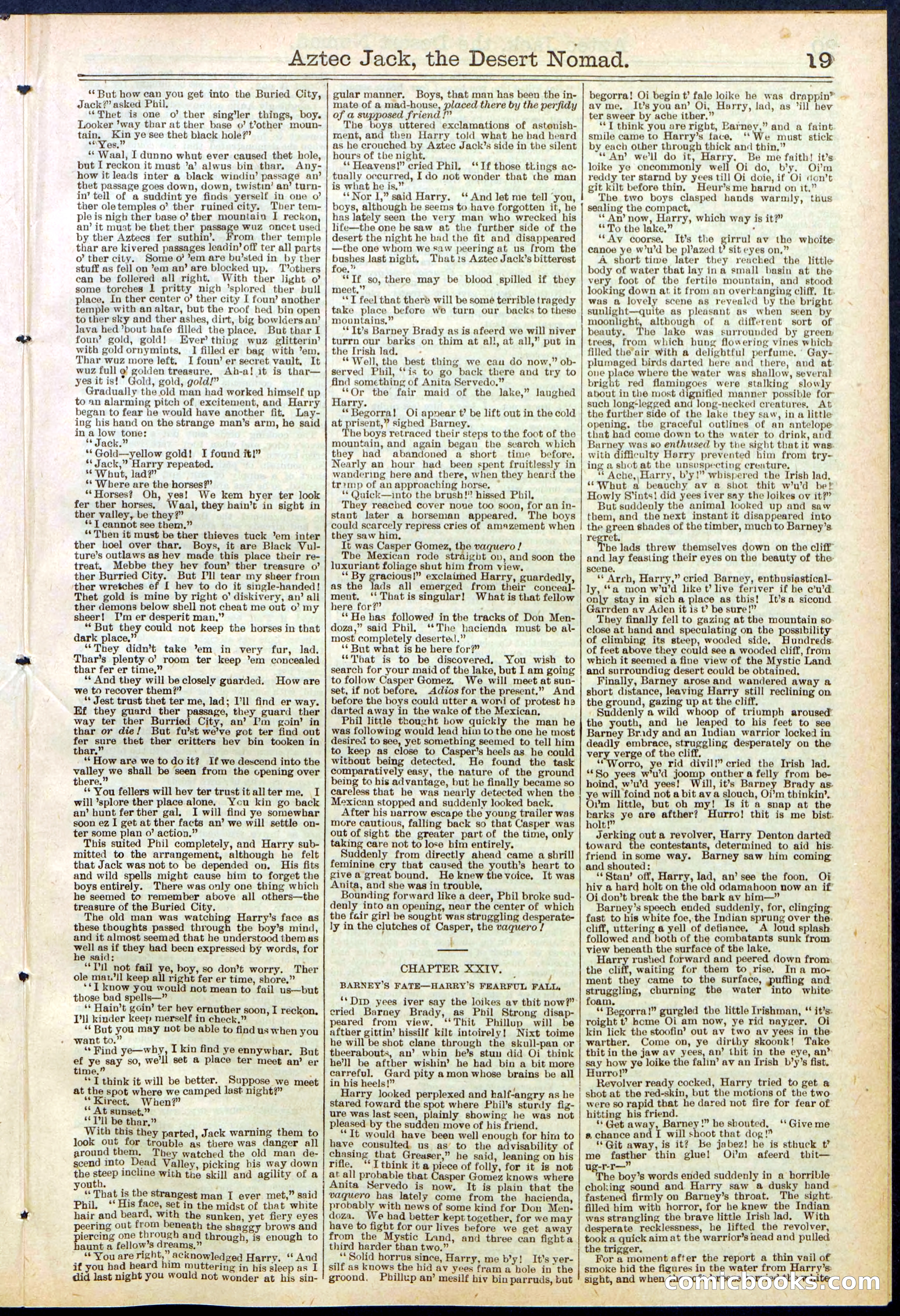Beadle's Dime Library No. 641 — page 19 of 32
