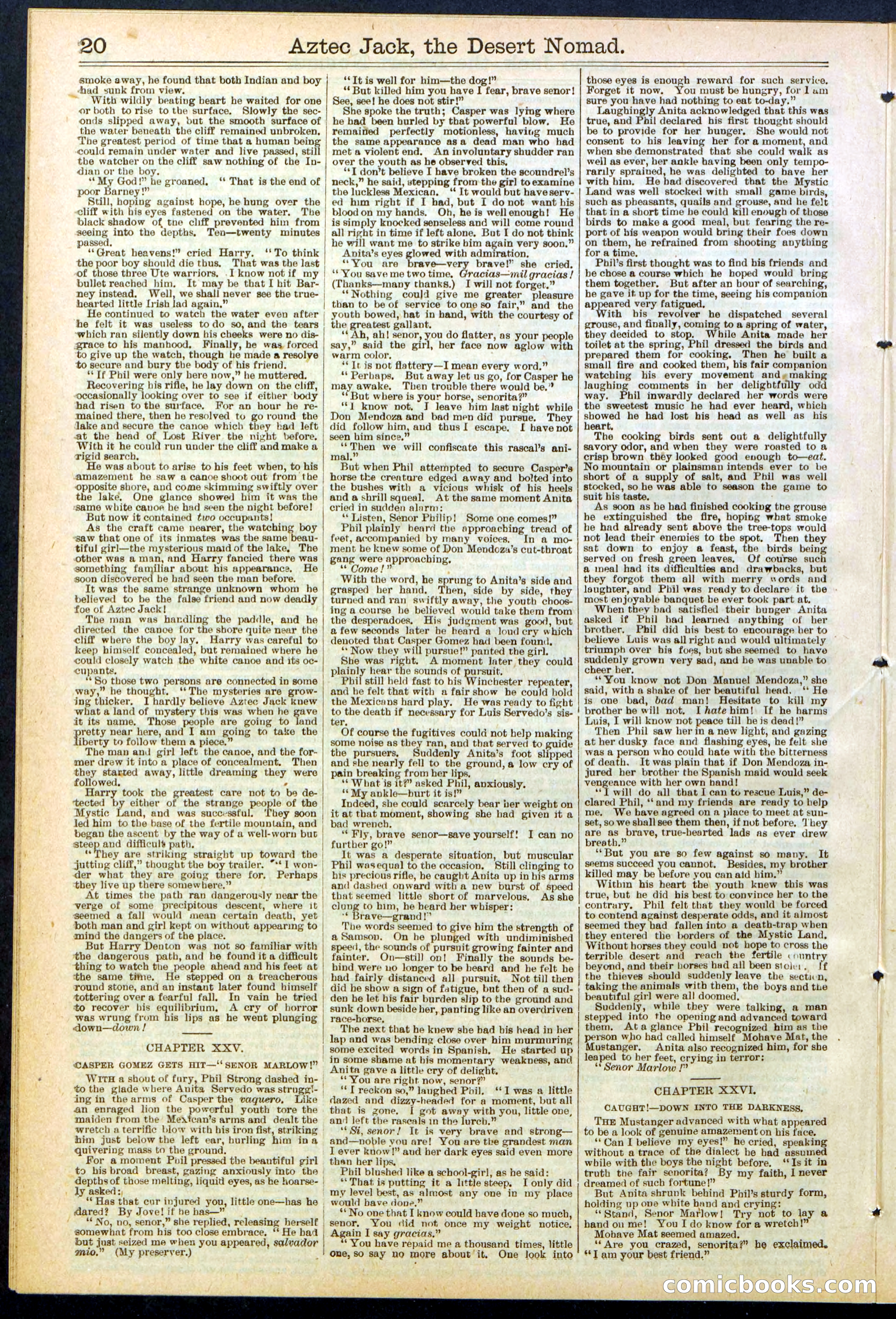 Beadle's Dime Library No. 641 — page 20 of 32