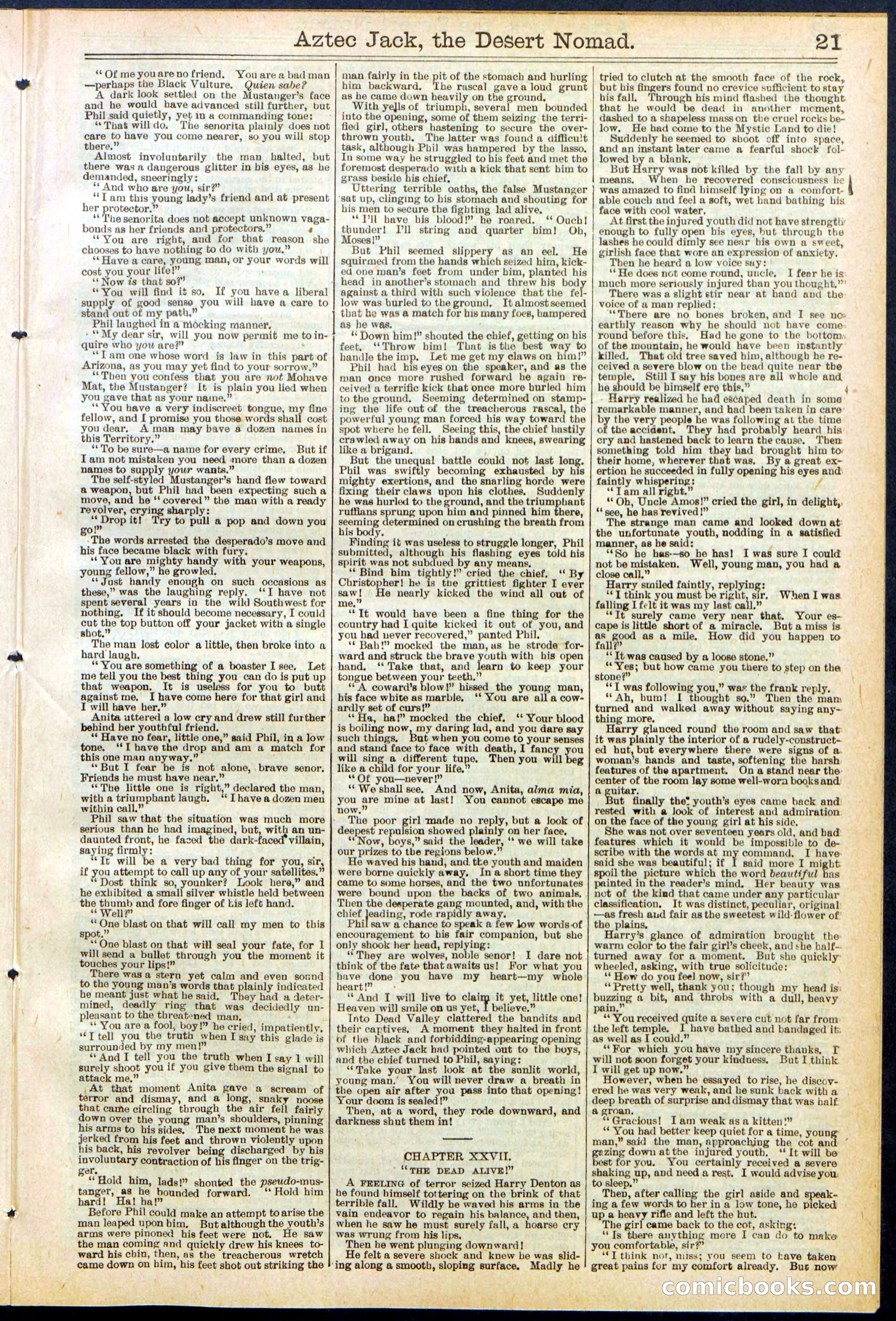 Beadle's Dime Library No. 641 — page 21 of 32