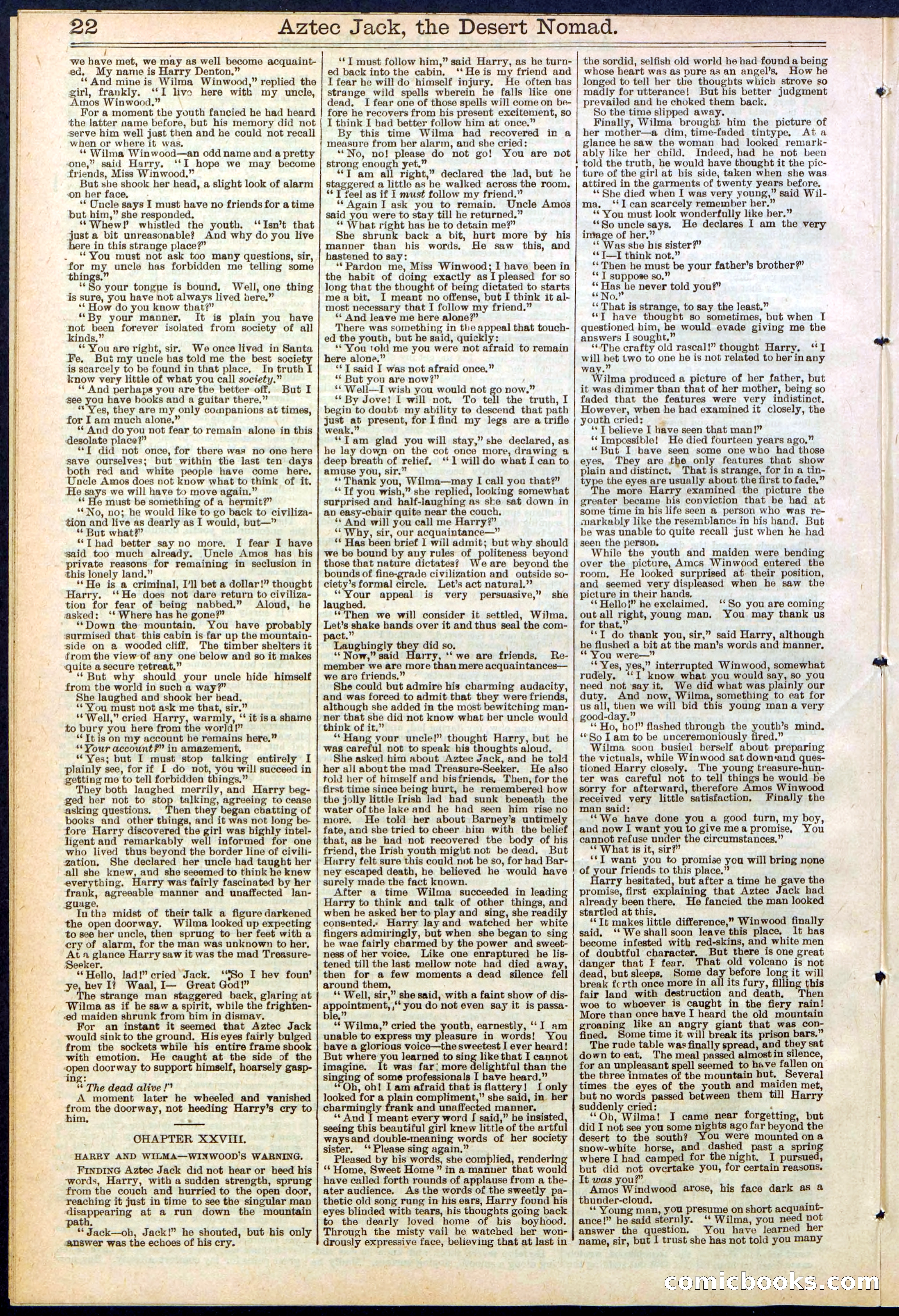 Beadle's Dime Library No. 641 — page 22 of 32