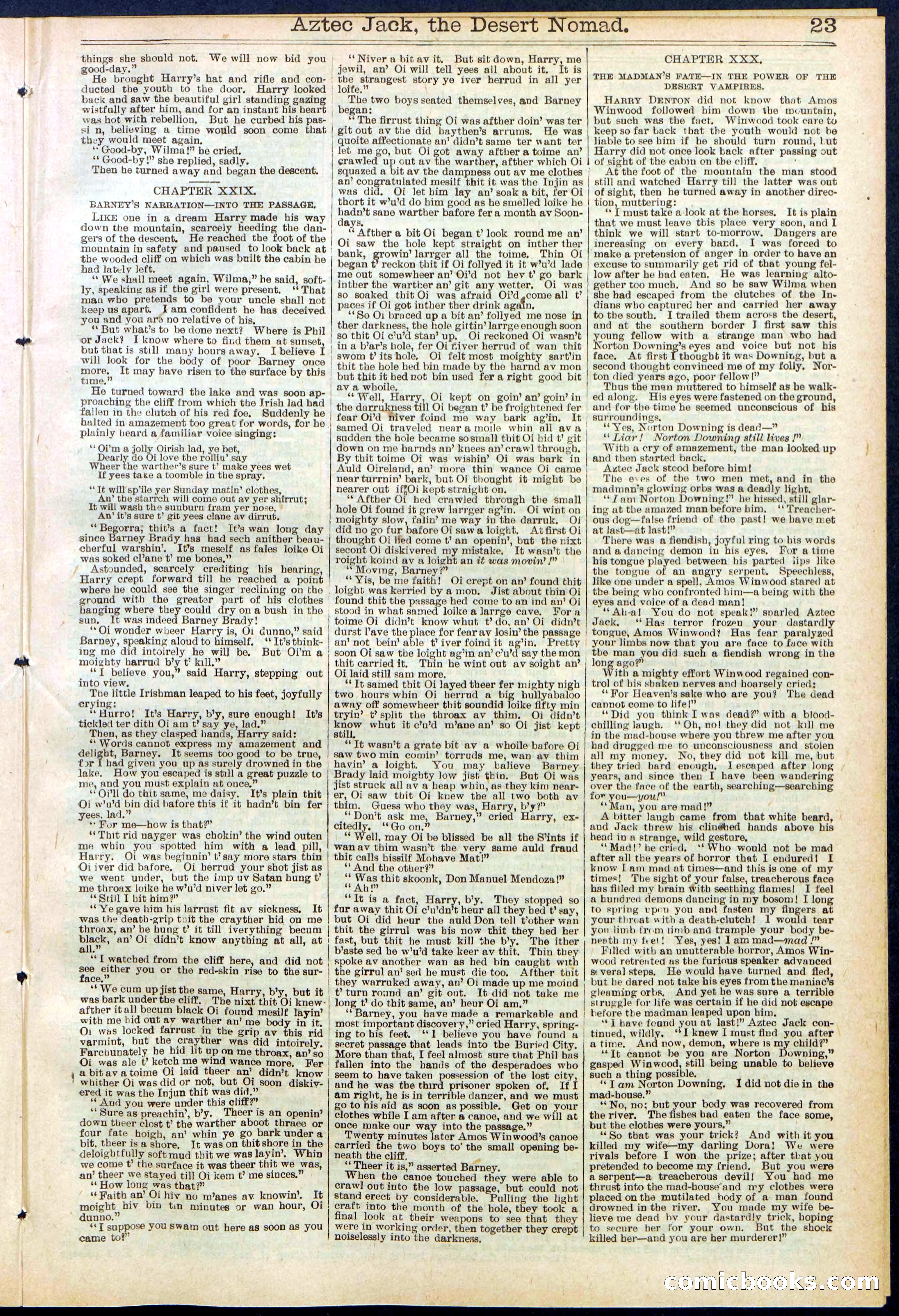 Beadle's Dime Library No. 641 — page 23 of 32