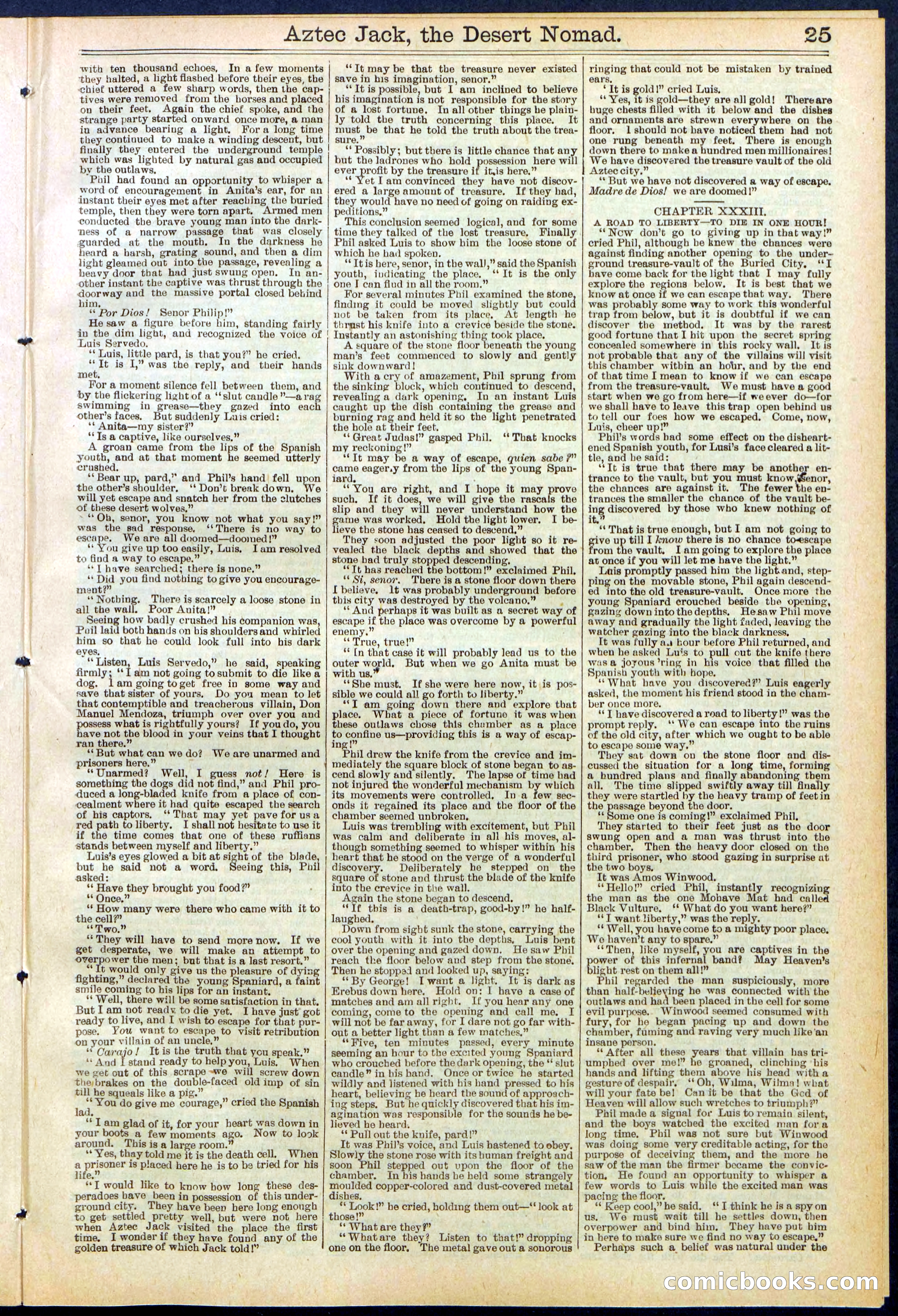 Beadle's Dime Library No. 641 — page 25 of 32
