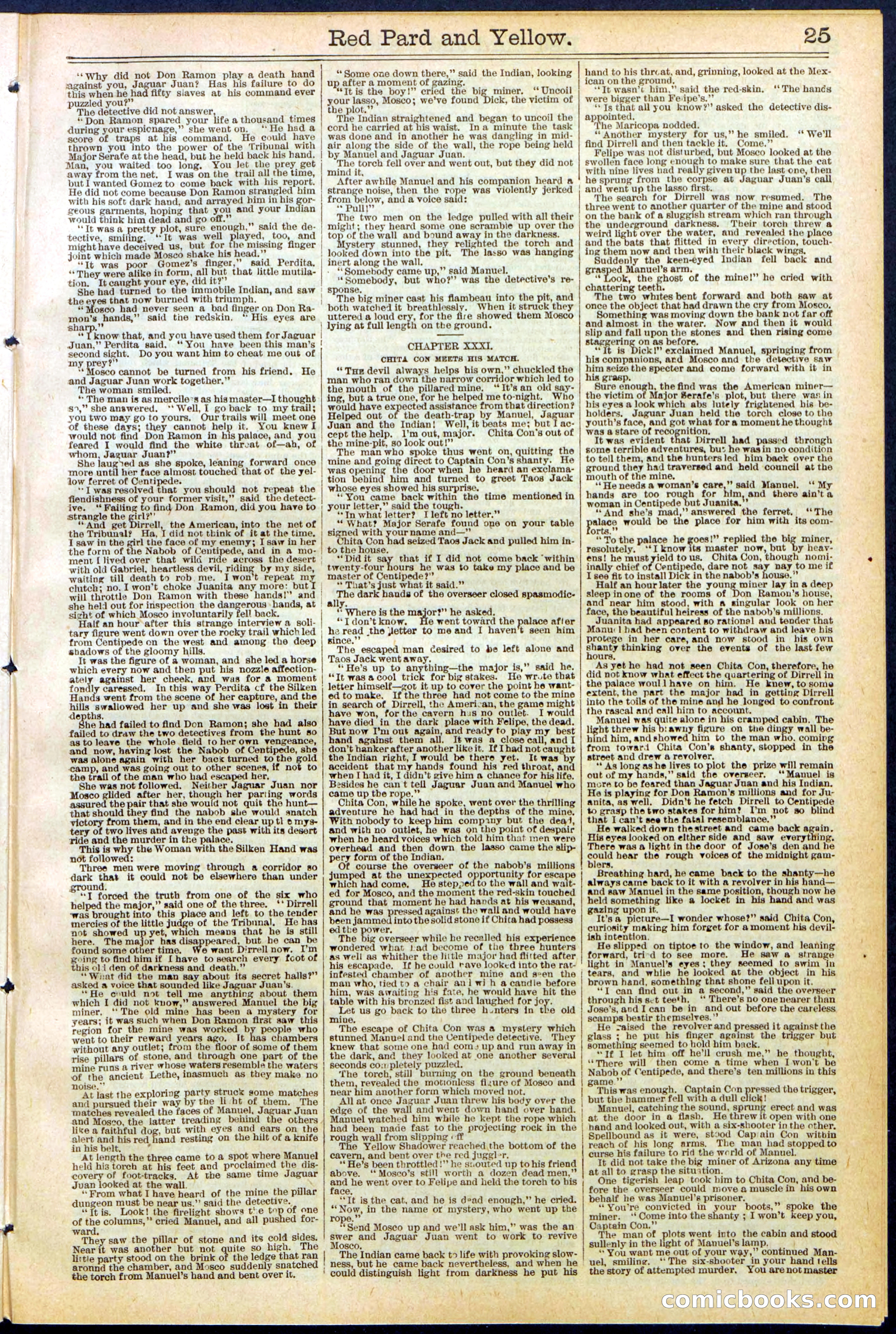 Beadle's Dime Library No. 642 — page 25 of 32