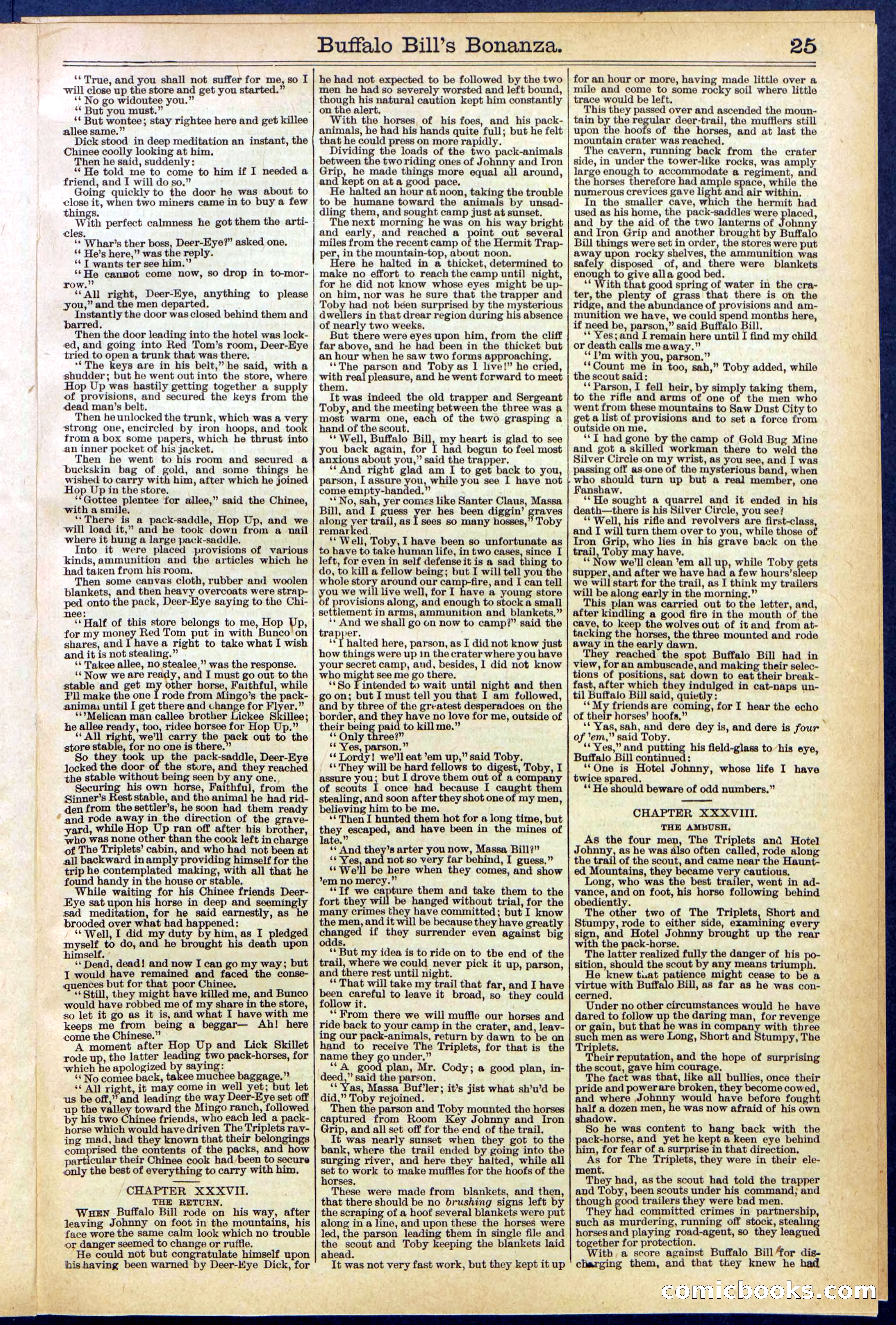 Beadle's Dime Library No. 644 — page 25 of 32