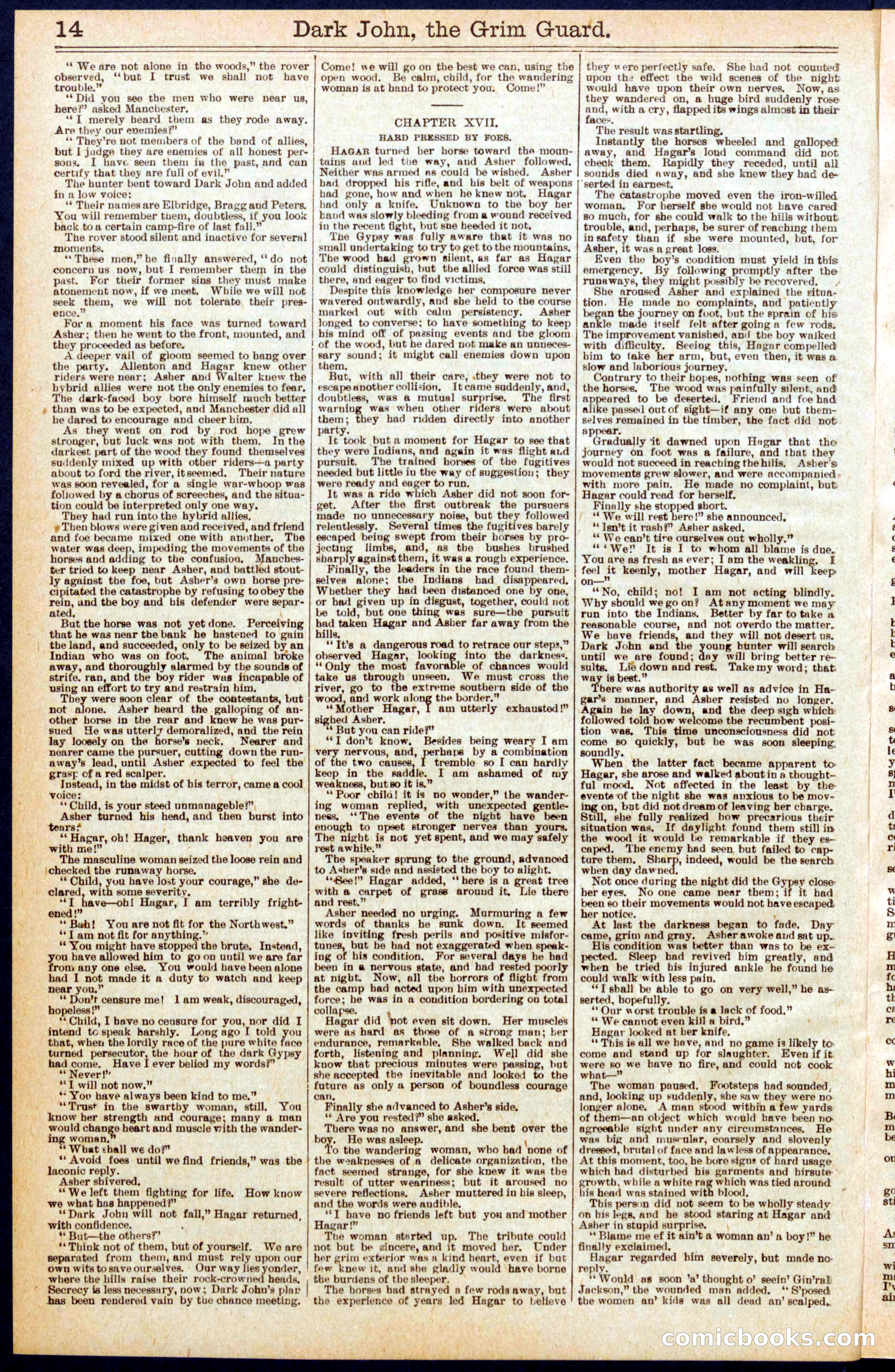 Beadle's Dime Library No. 646 — page 14 of 32