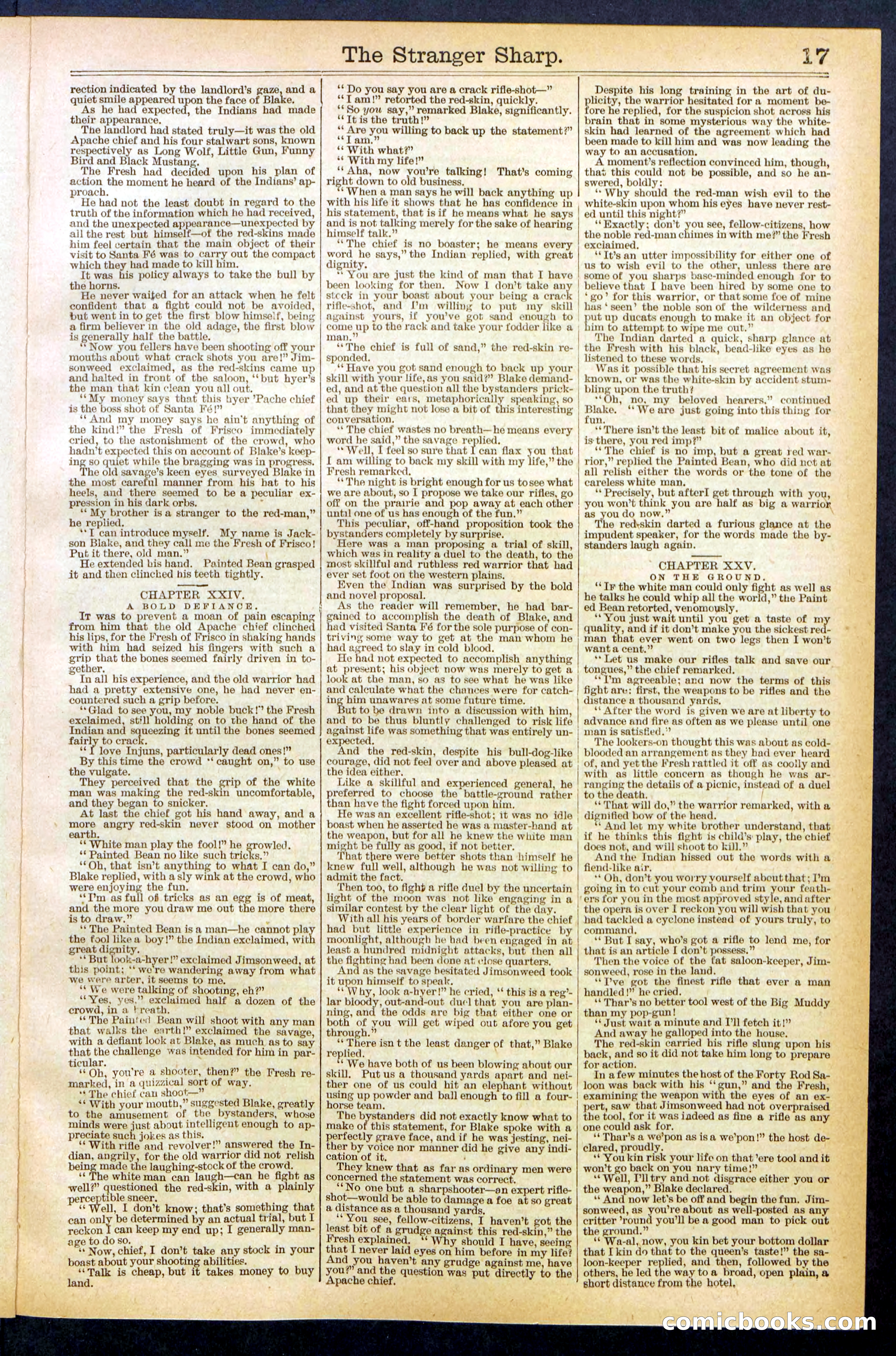 Beadle's Dime Library, No. 647 — page 17 of 32