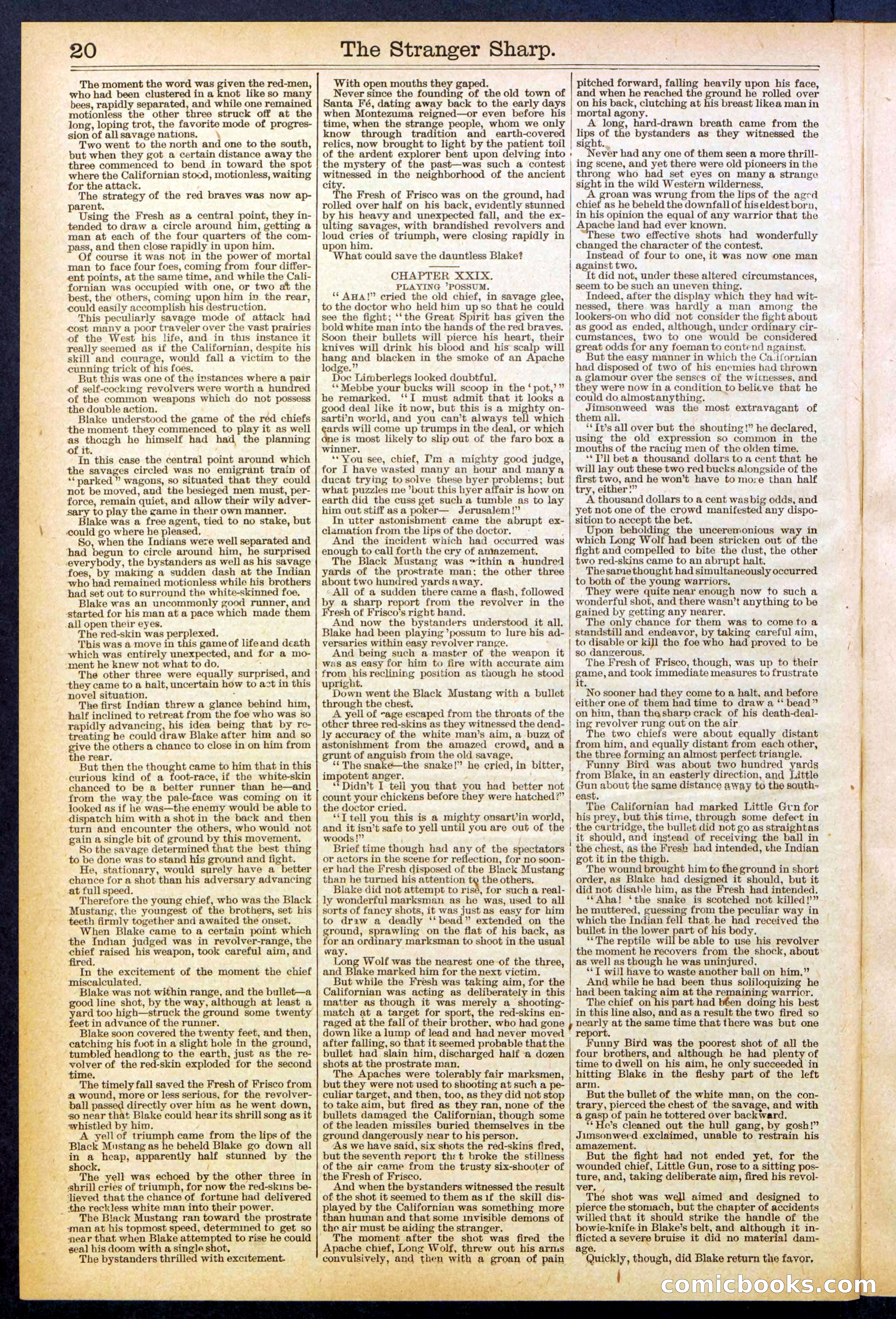 Beadle's Dime Library, No. 647 — page 20 of 32