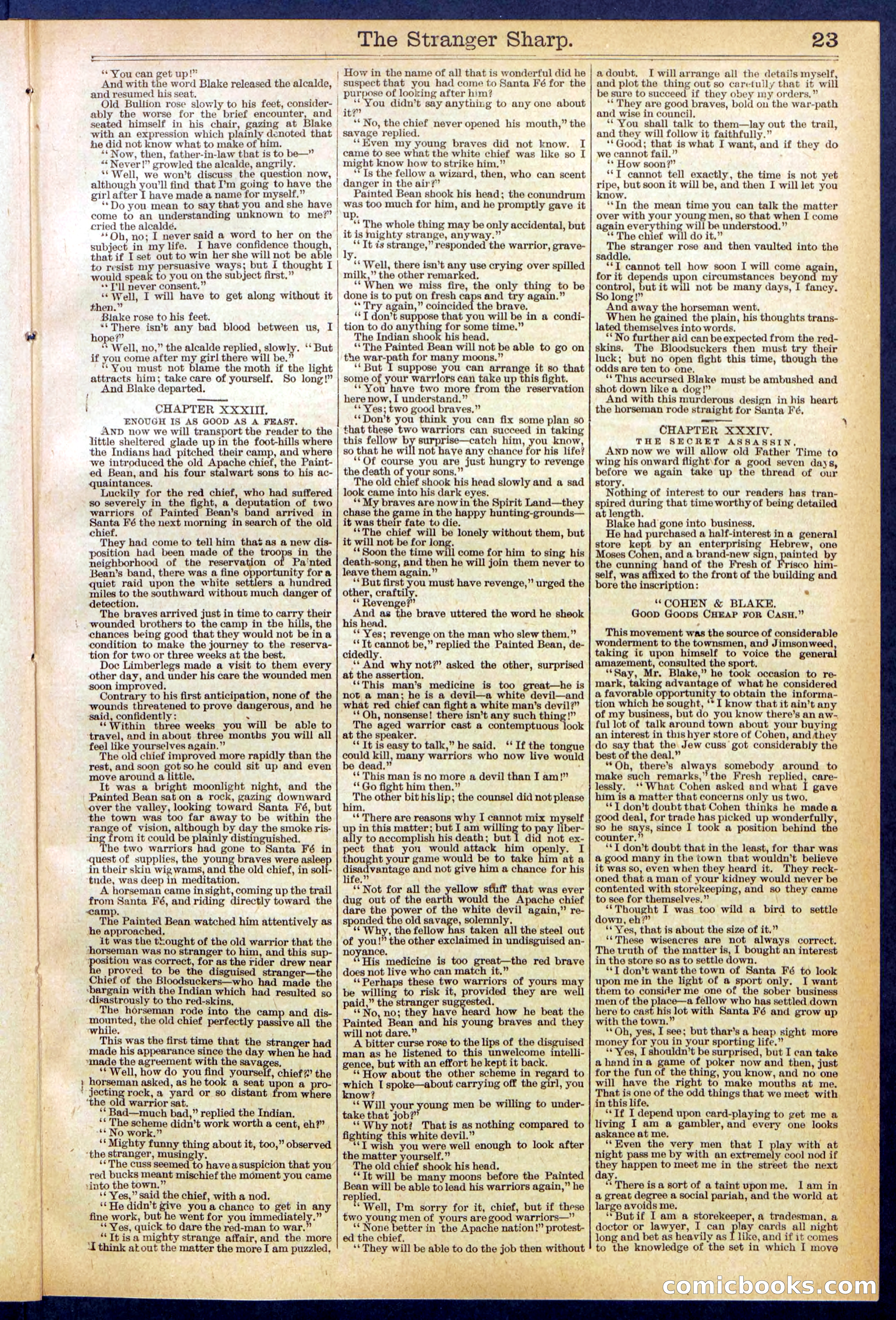 Beadle's Dime Library, No. 647 — page 23 of 32