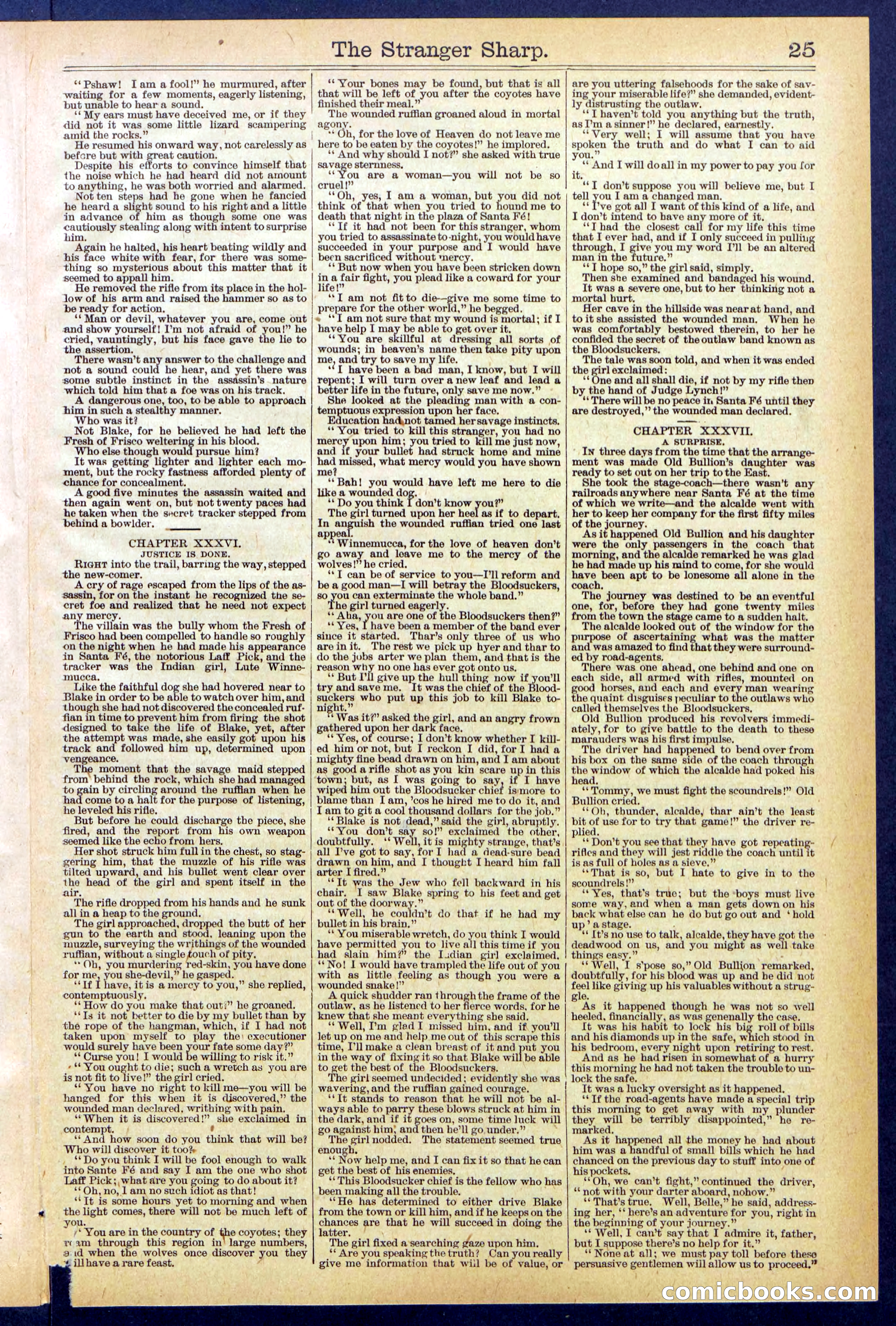 Beadle's Dime Library, No. 647 — page 25 of 32