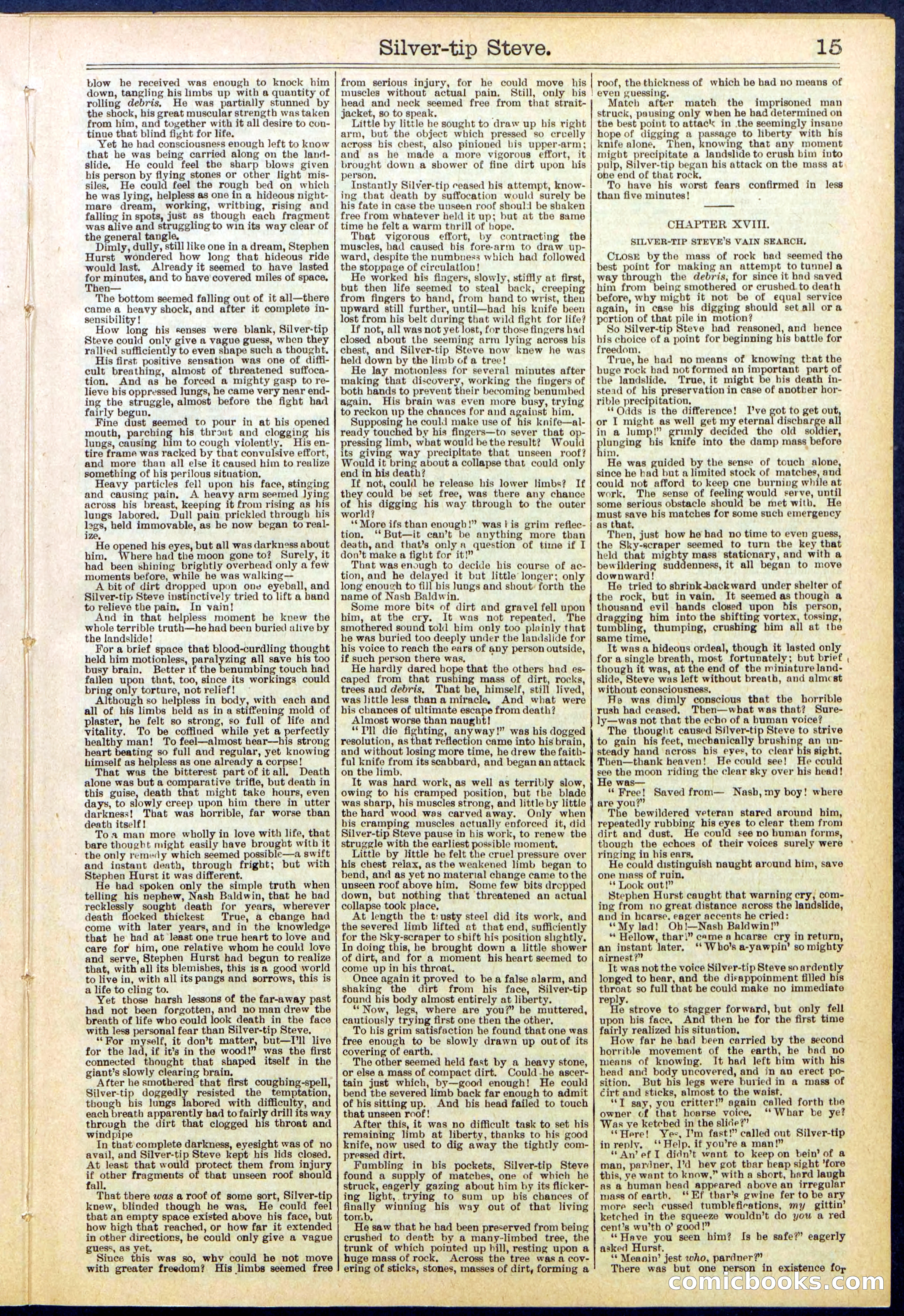 Beadle's New York Dime Library, No. 651 — page 15 of 32