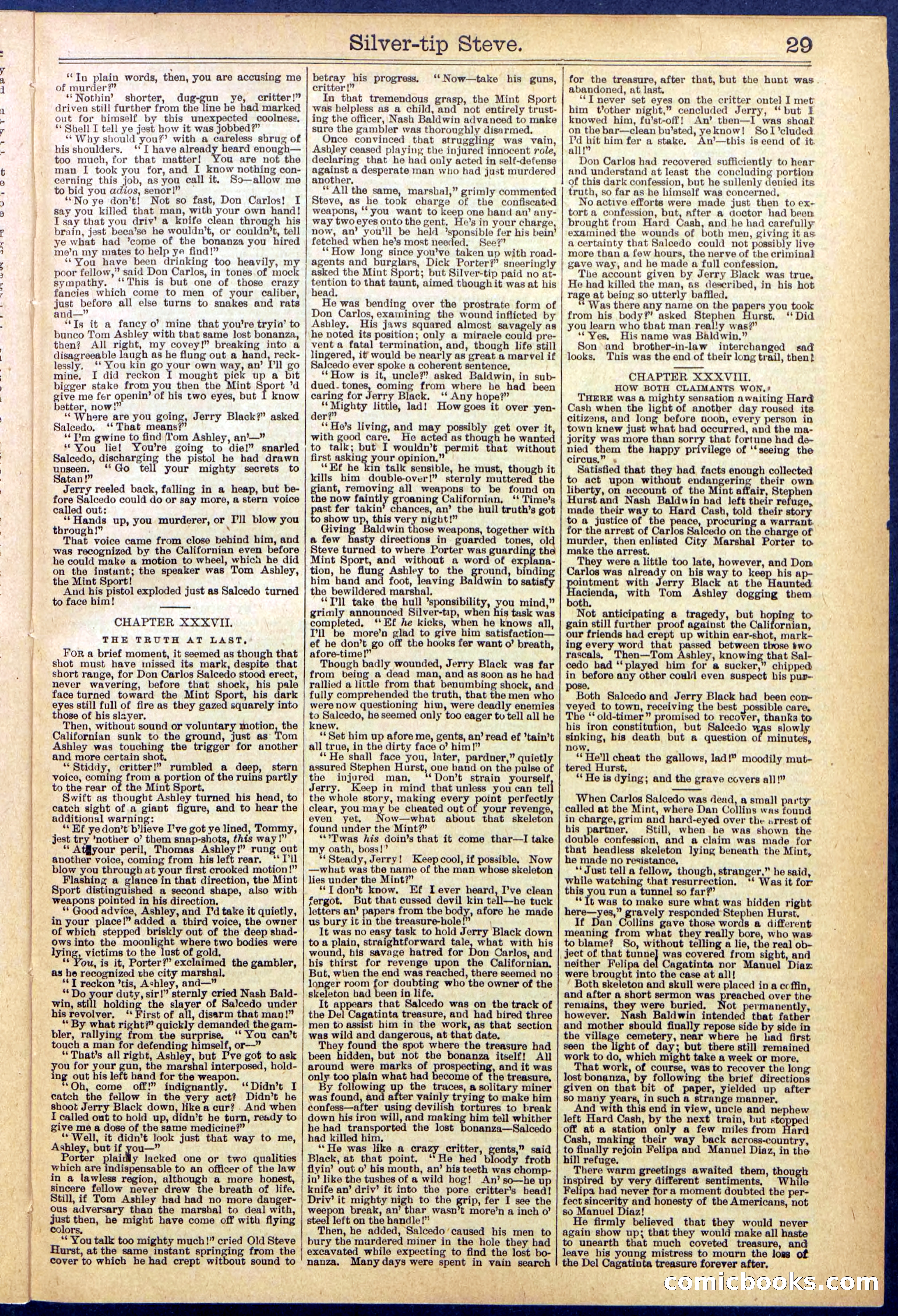 Beadle's New York Dime Library, No. 651 — page 29 of 32