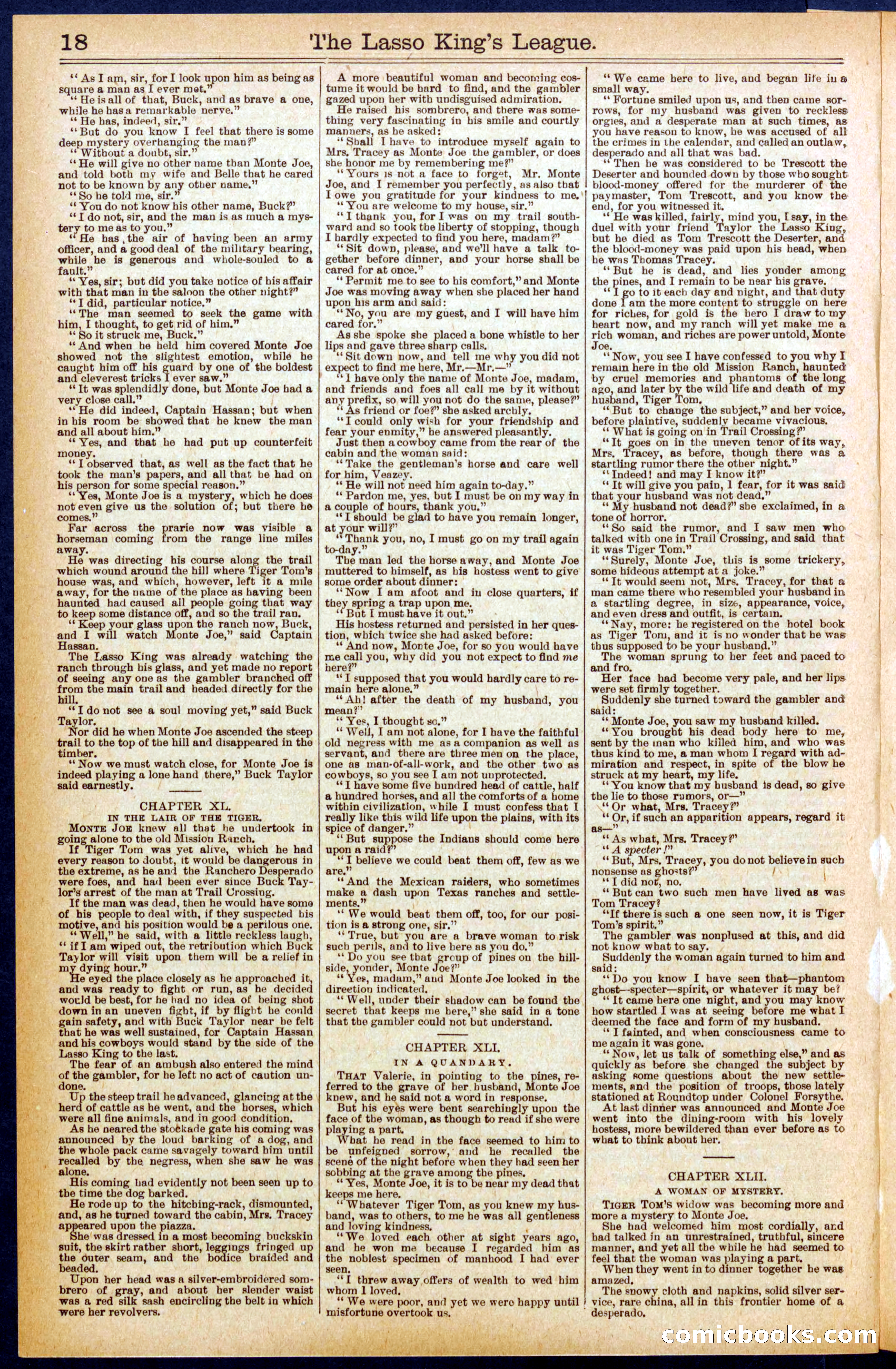 Beadle's Dime Library No. 653 — page 18 of 32