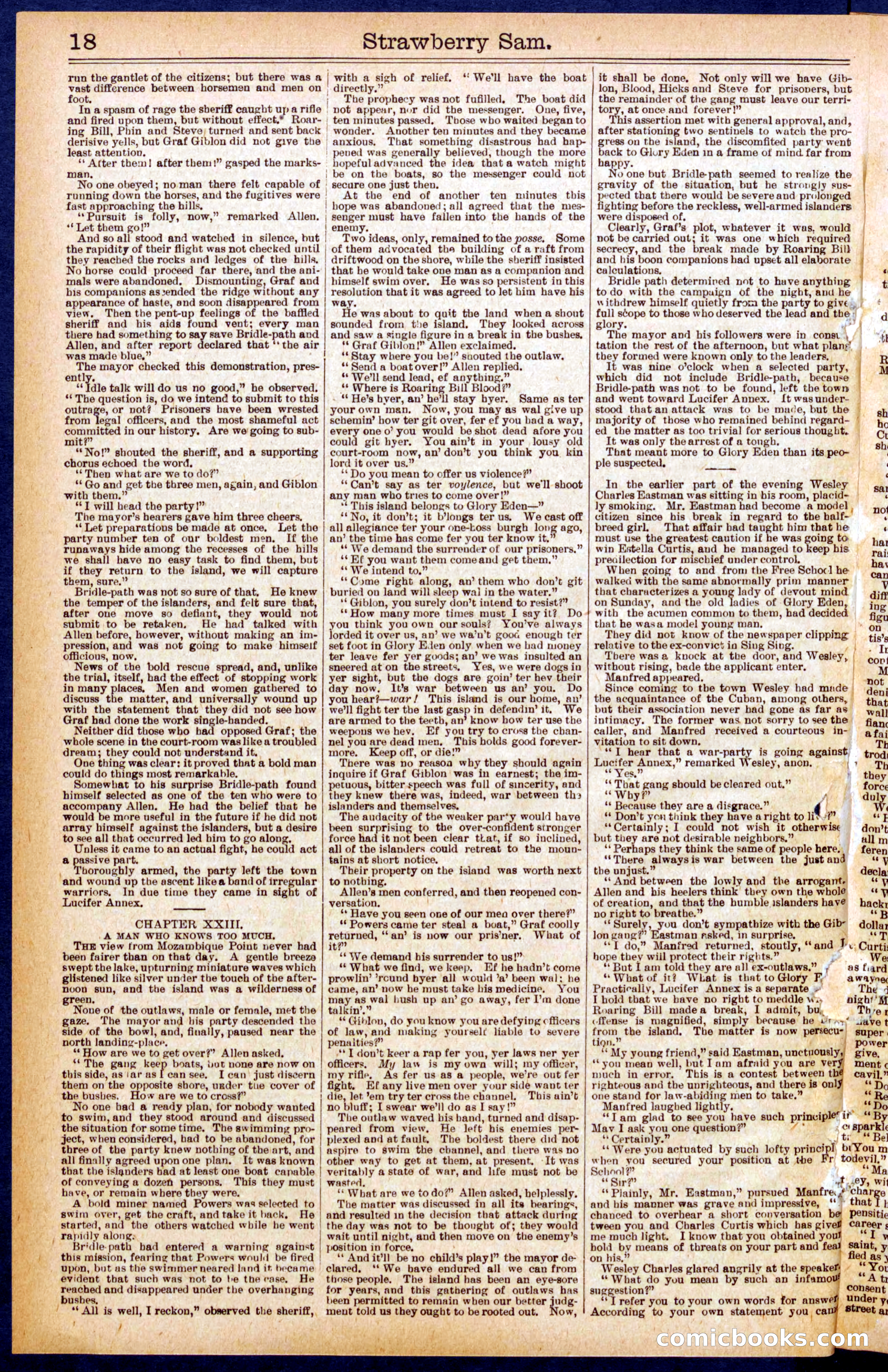 Beadle's Dime Library No. 655 — page 18 of 32