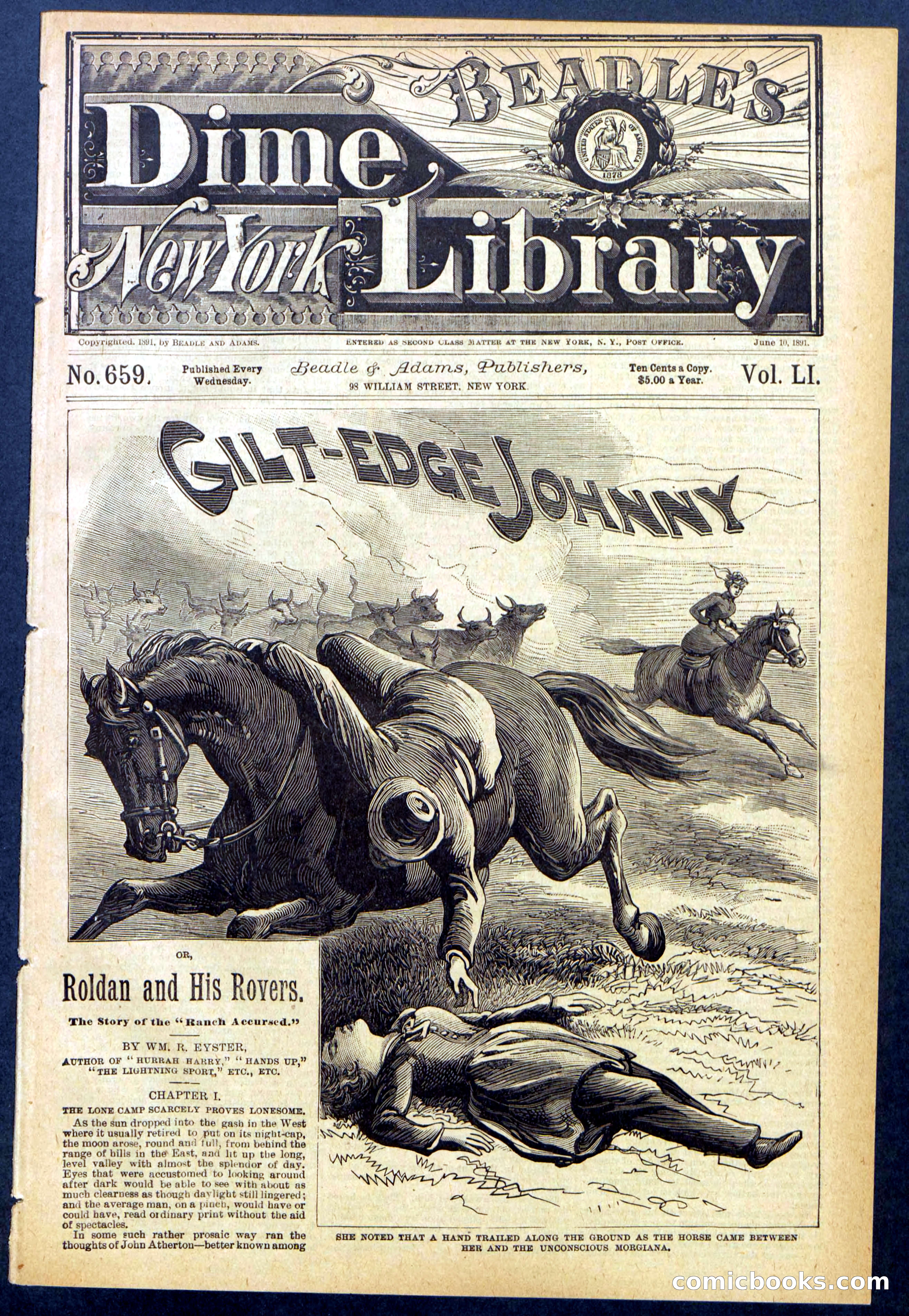 Beadle's New York Dime Library No. 659 — page 1 of 32
