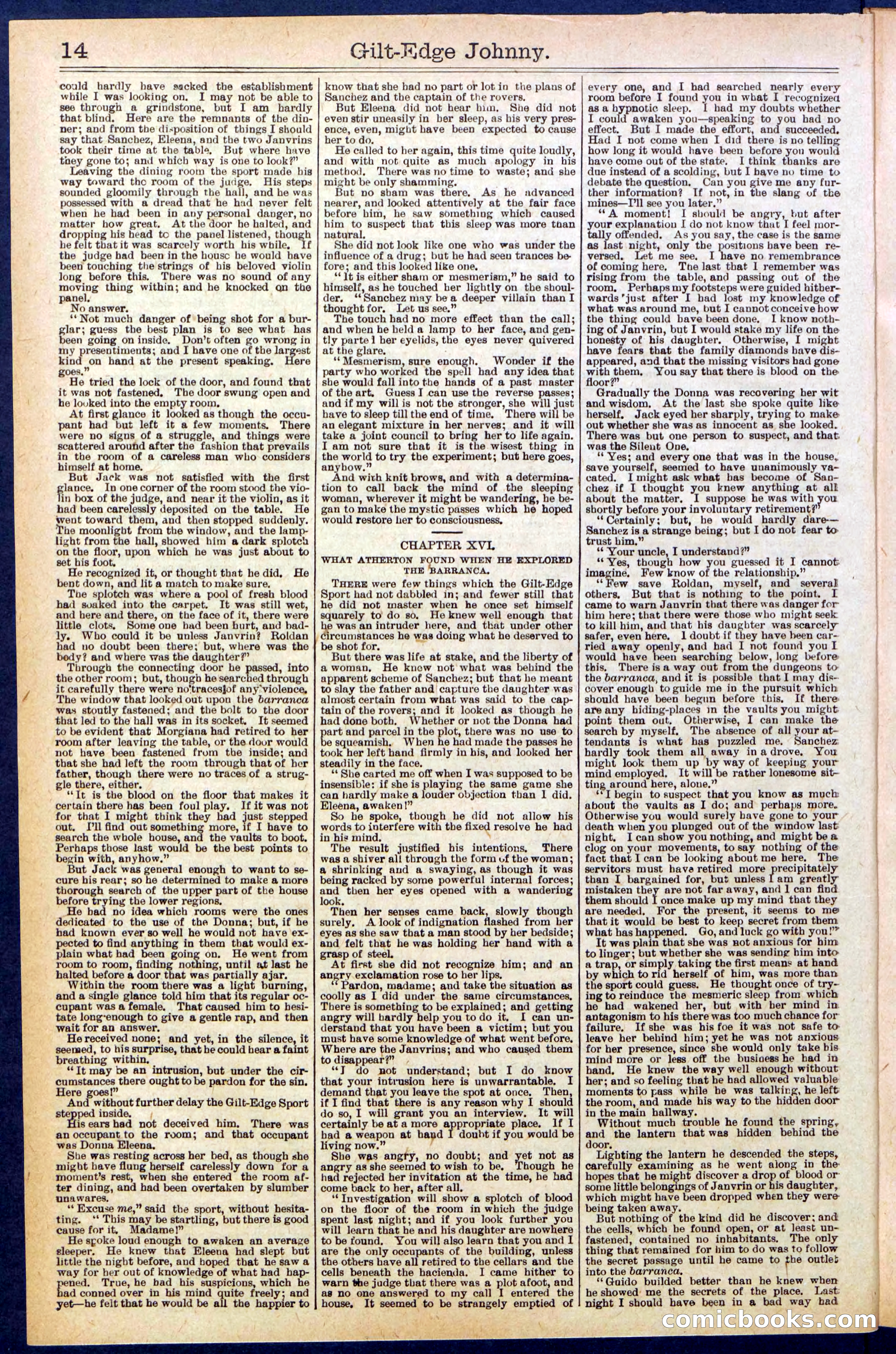 Beadle's New York Dime Library No. 659 — page 14 of 32