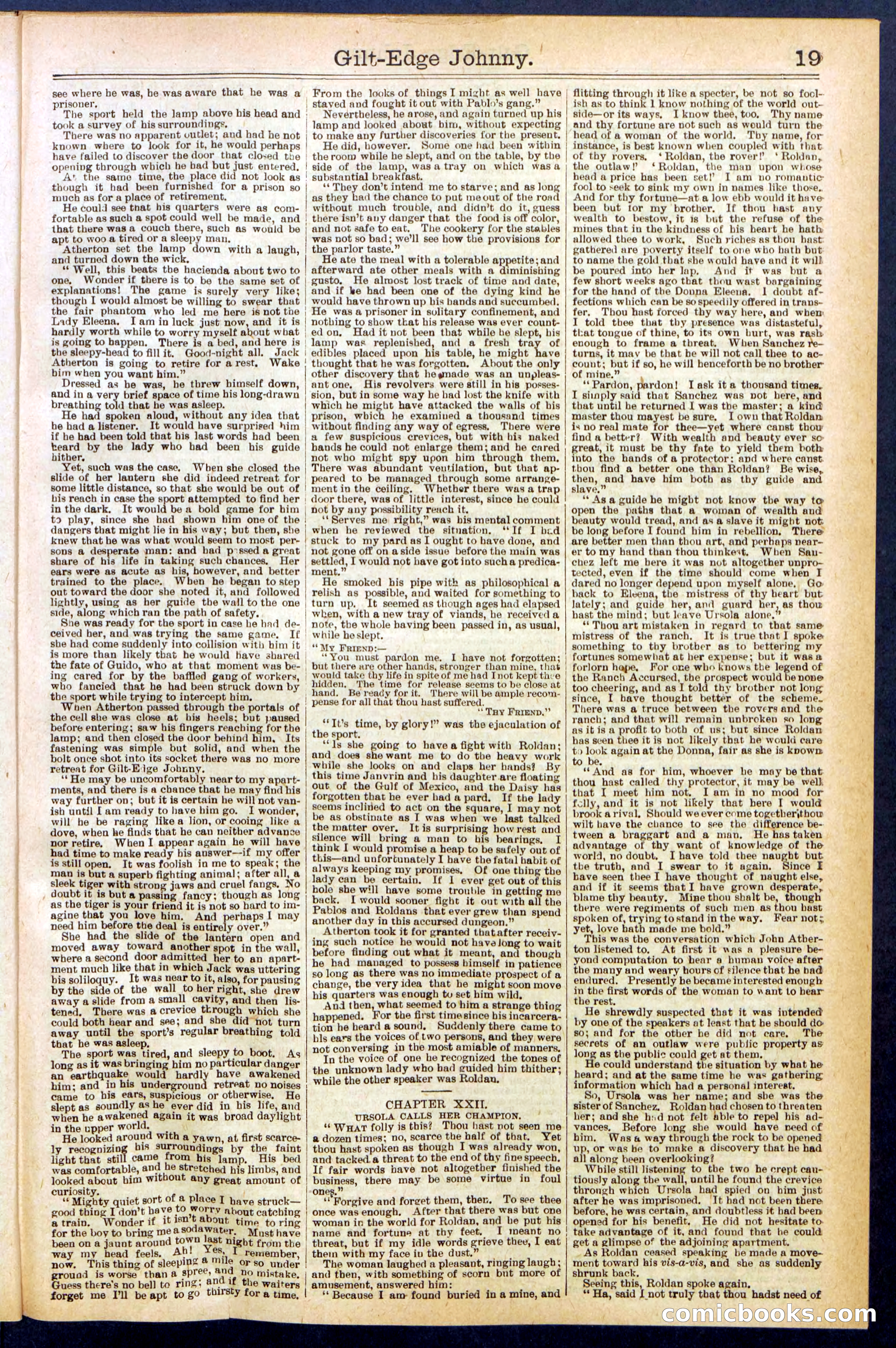 Beadle's New York Dime Library No. 659 — page 19 of 32