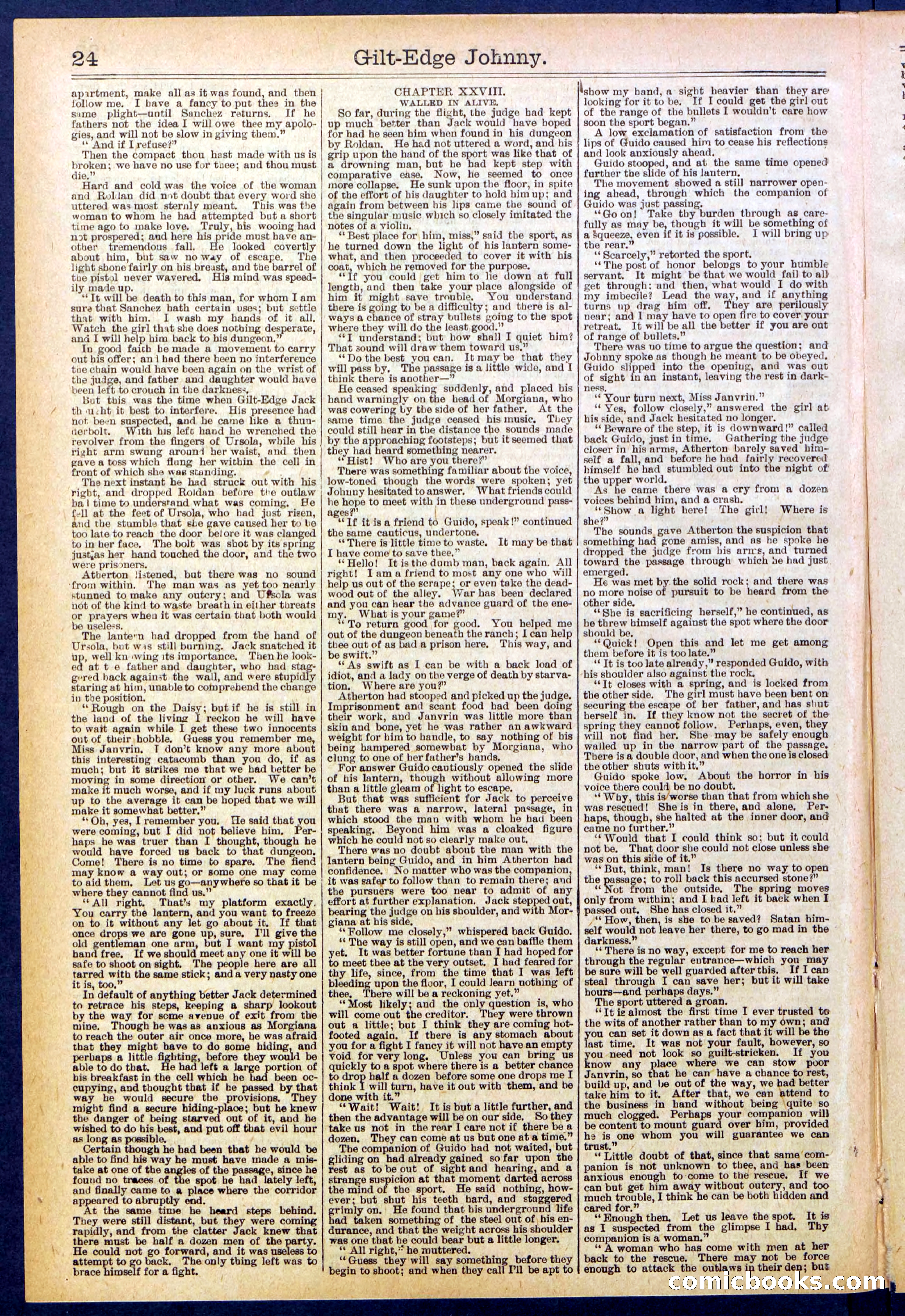 Beadle's New York Dime Library No. 659 — page 24 of 32