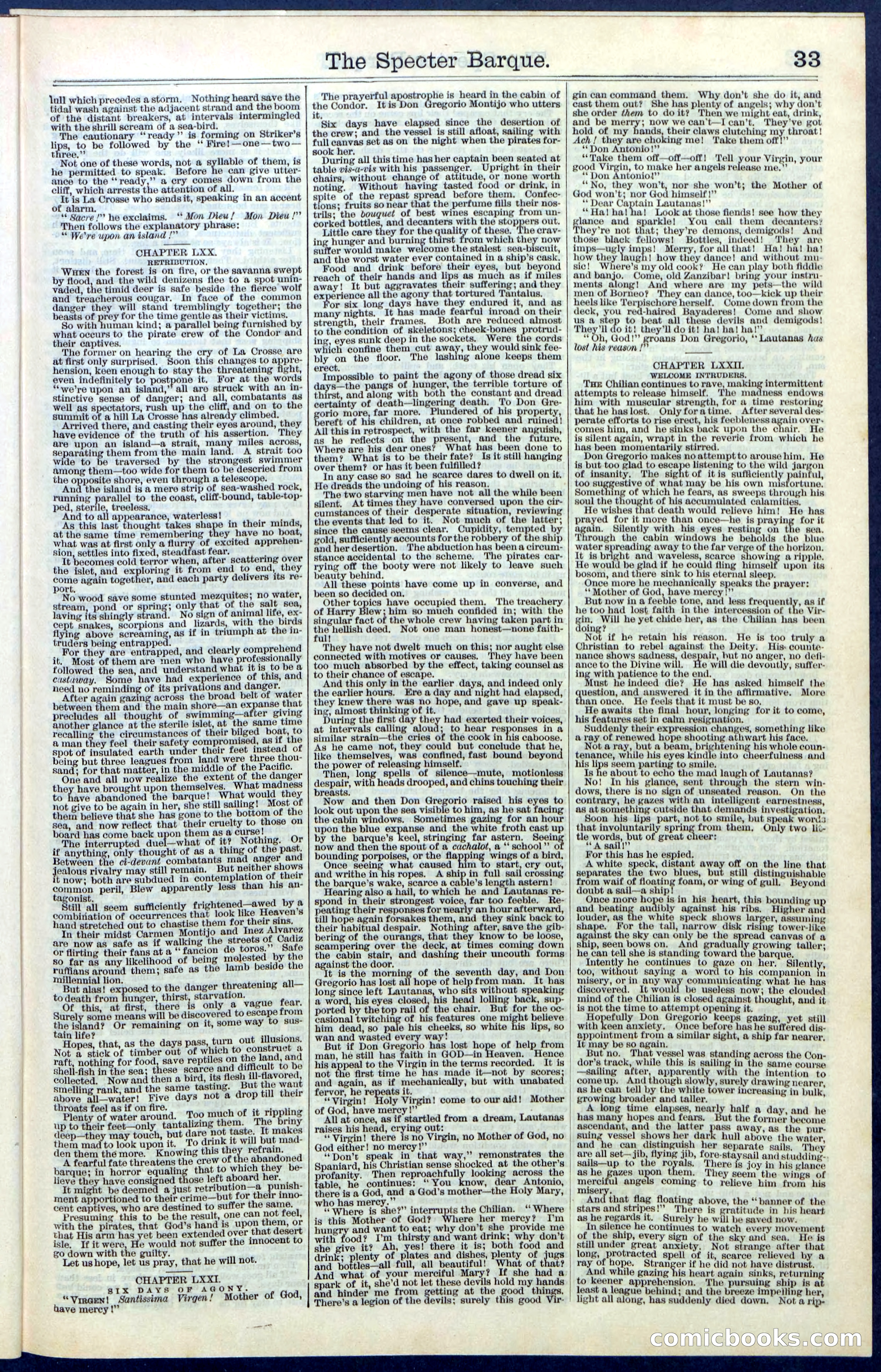 Beadle's New York Dime Library, No. 66 — page 33 of 40