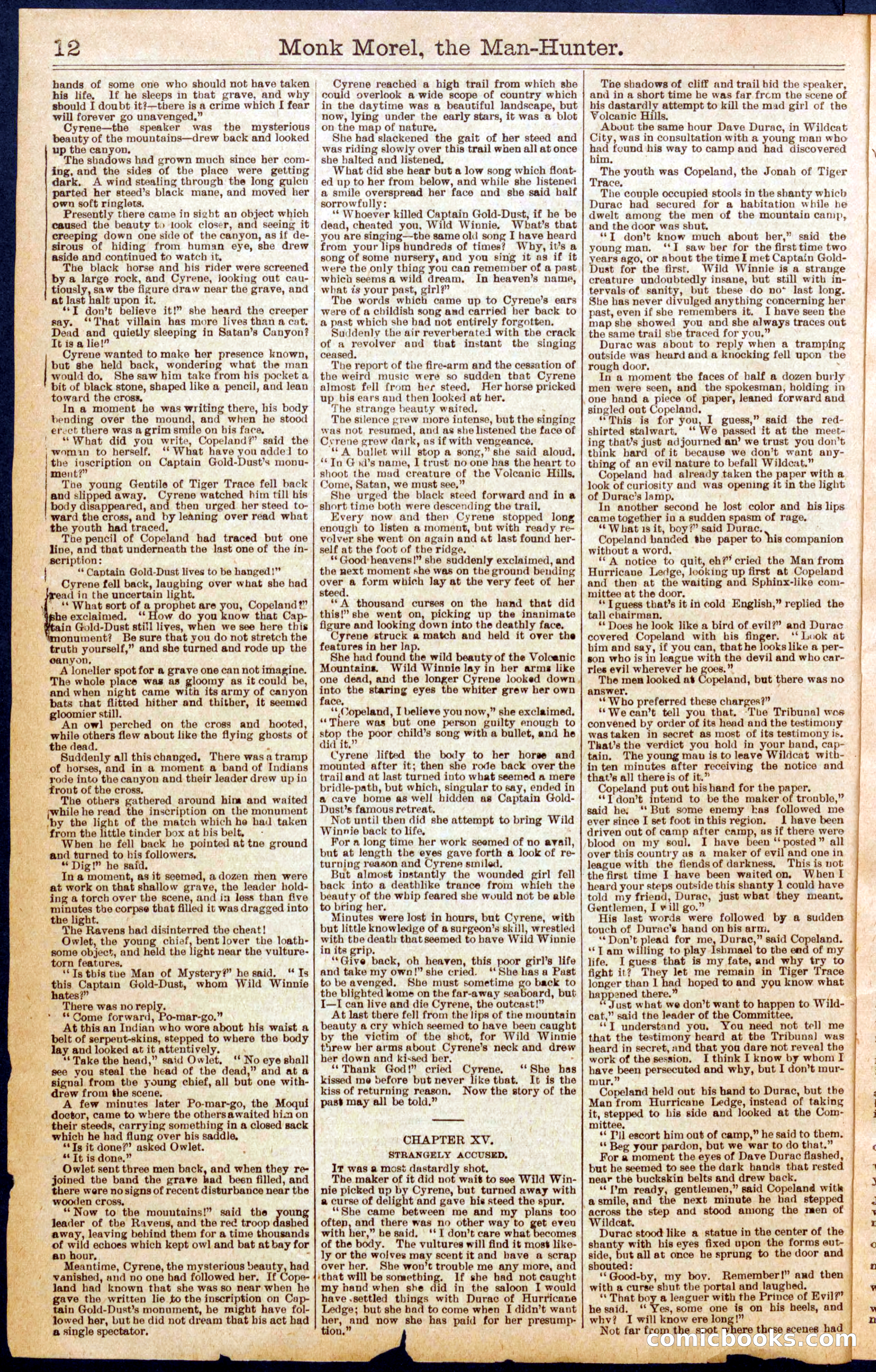 Beadle's New York Dime Library No. 664 — page 12 of 32