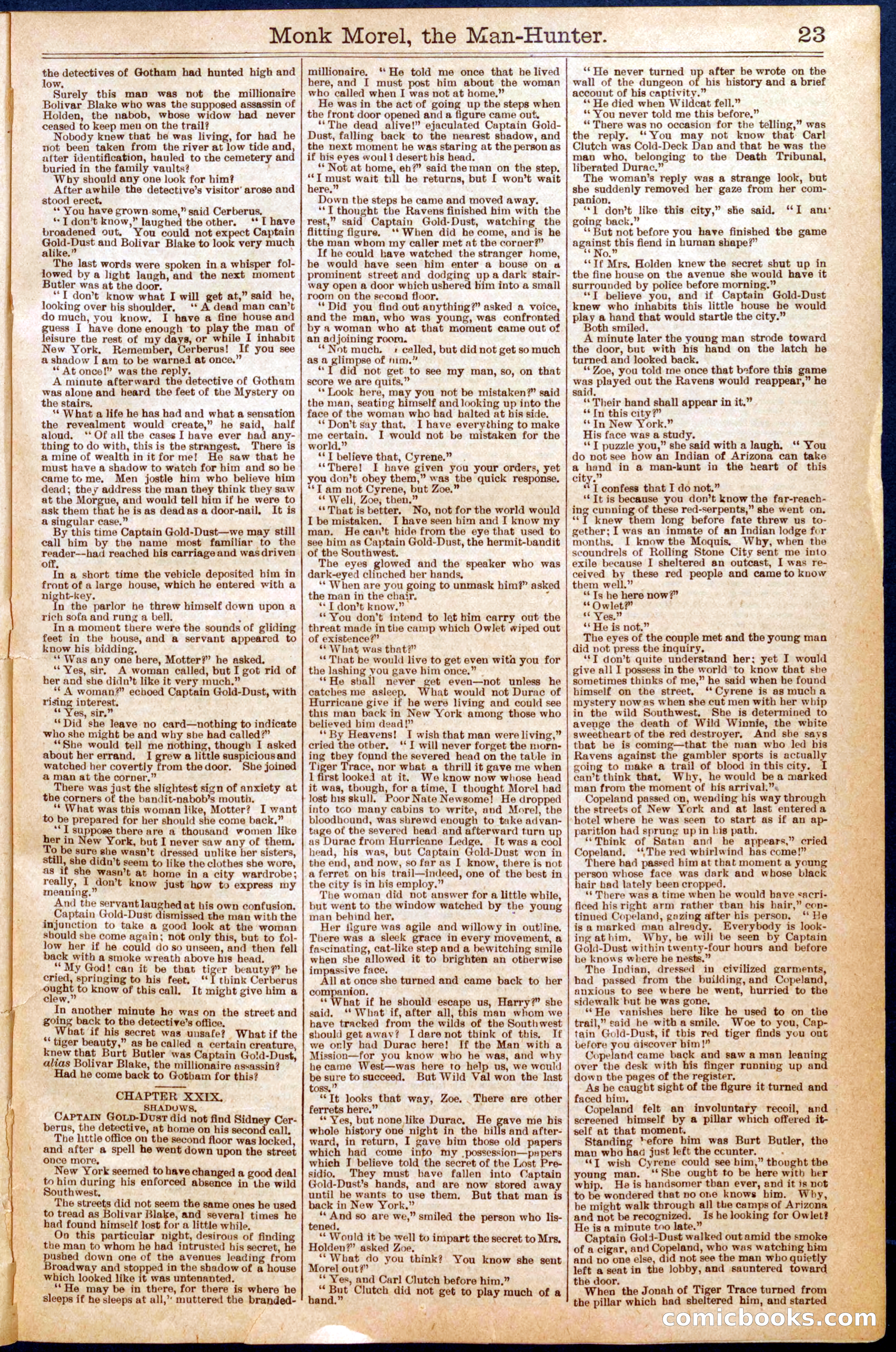 Beadle's New York Dime Library No. 664 — page 23 of 32