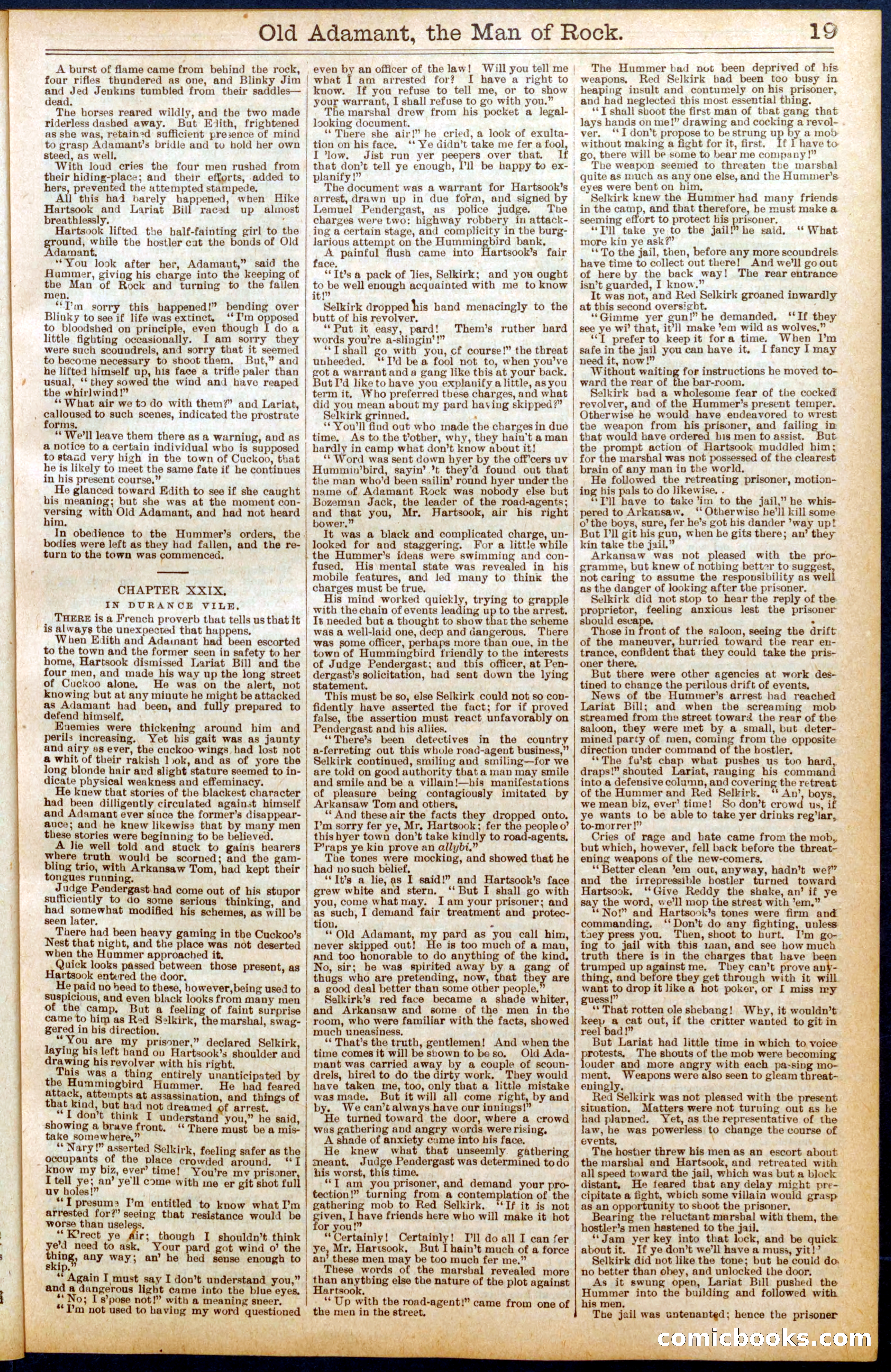 Beadle's Dime Library No. 666 — page 19 of 32
