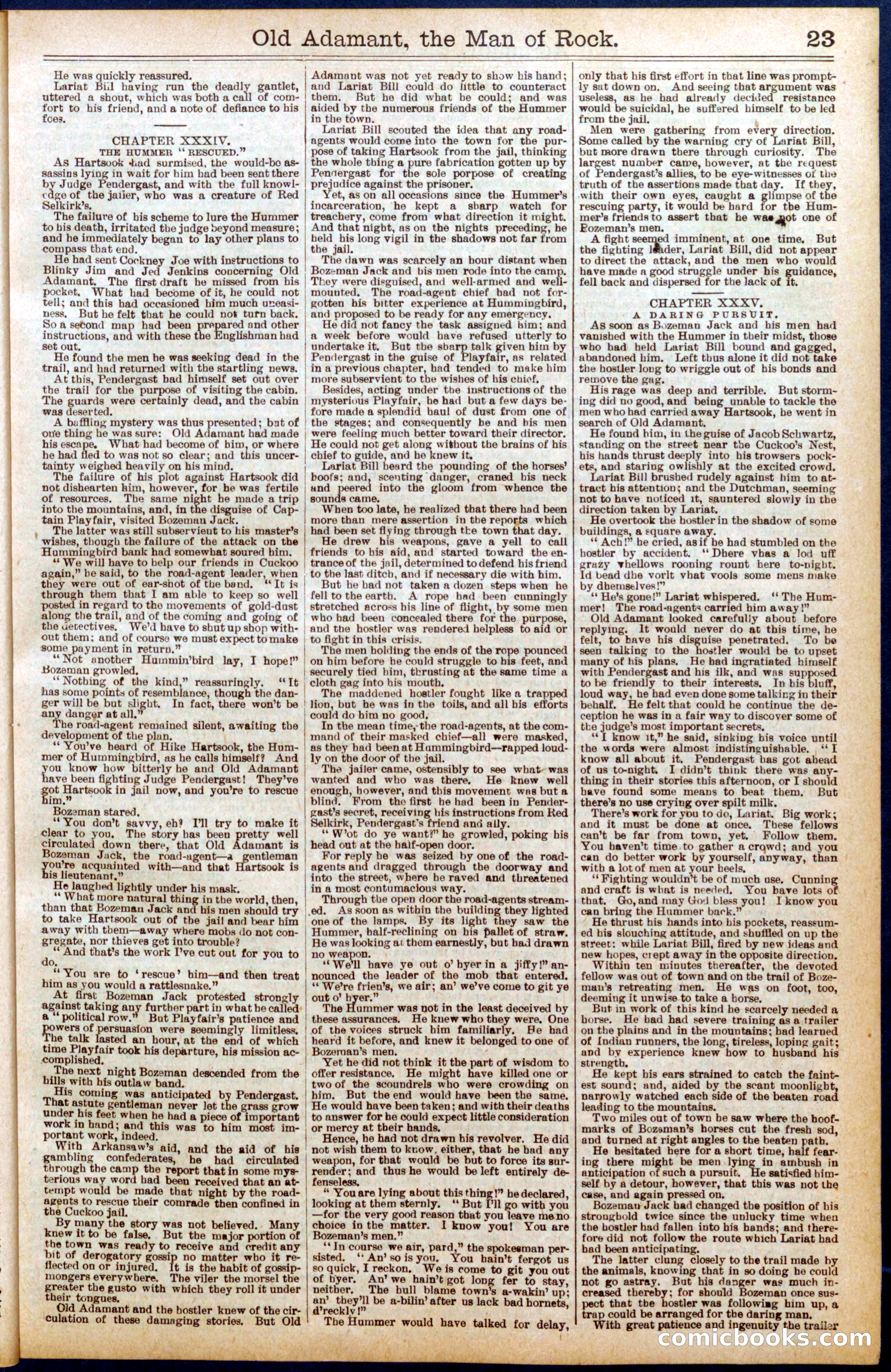 Beadle's Dime Library No. 666 — page 23 of 32